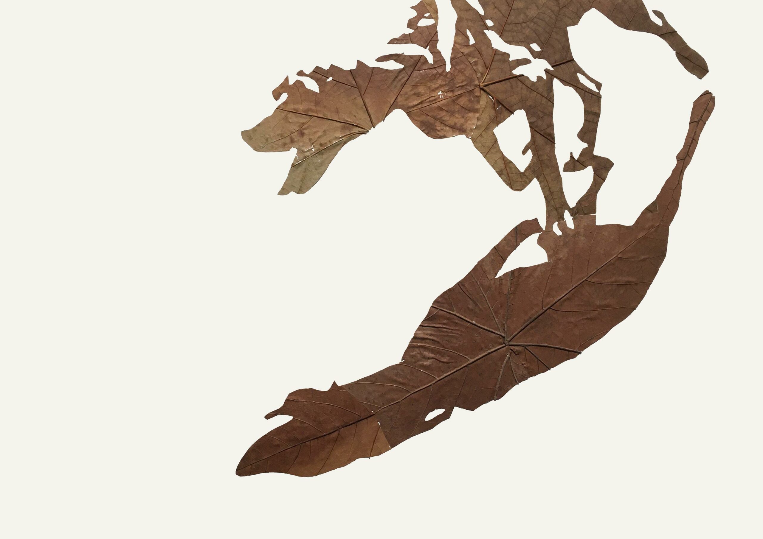 Lichtbild 2017/31 - Michael Schuster 