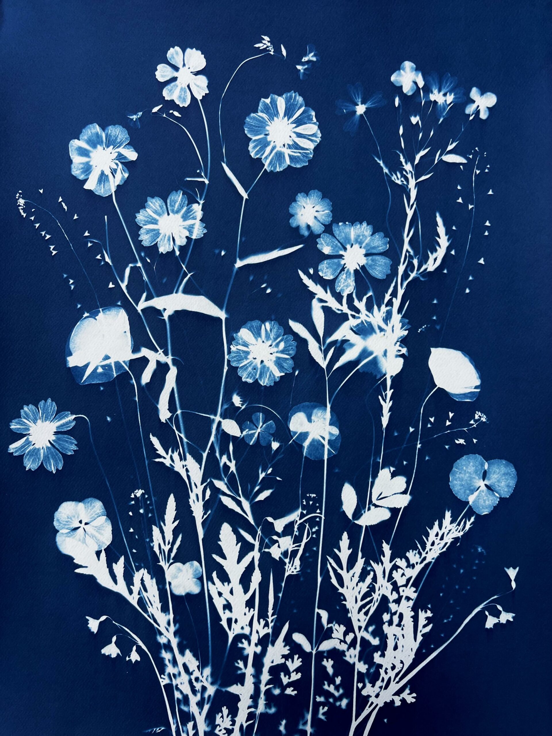 Eden - St&eacute;phanie Lugassy 