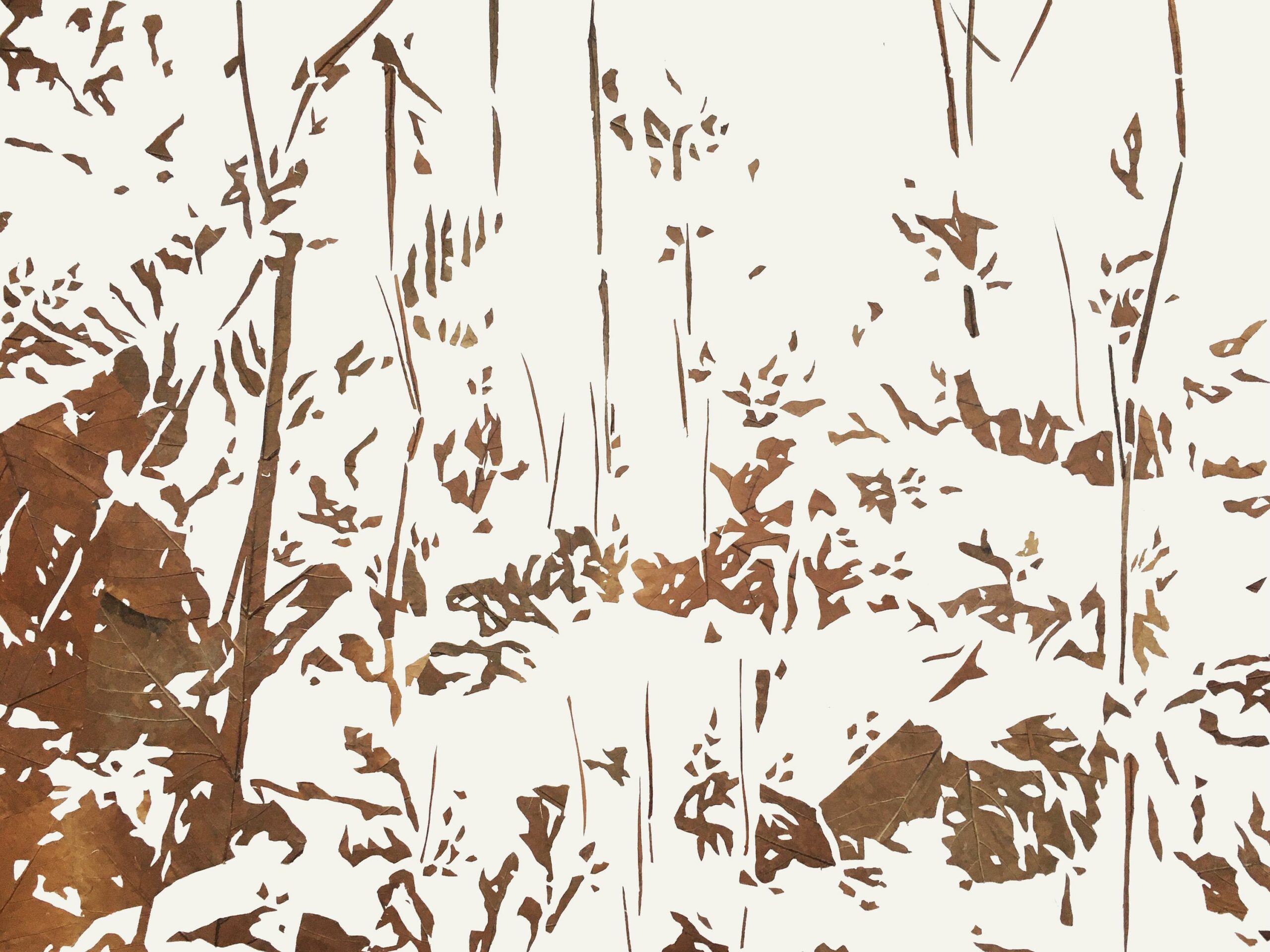 Lichtbild 2022/49 - Michael Schuster 