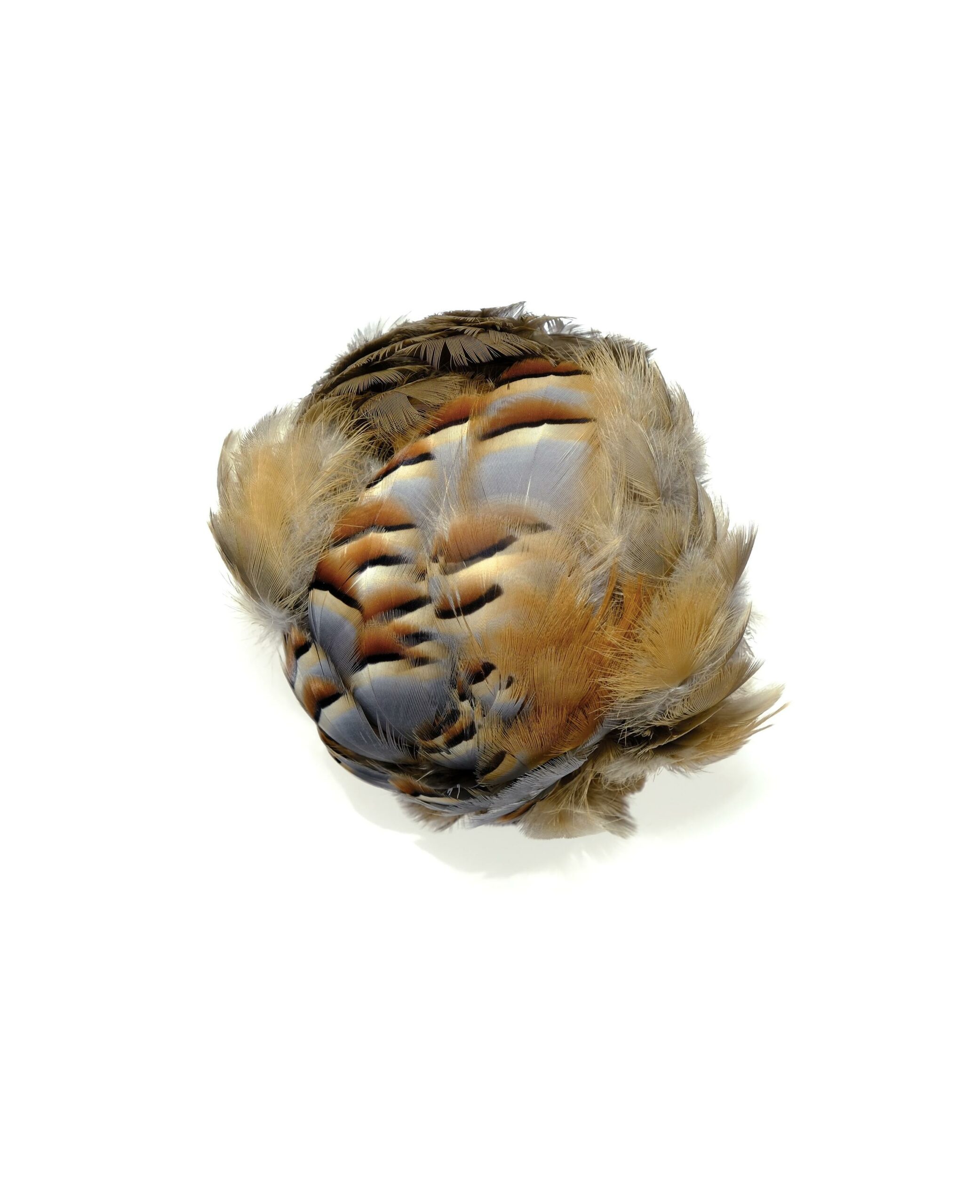 Steinhuhn &ndash; 2403 - Barbara Sophie H&ouml;cherl 