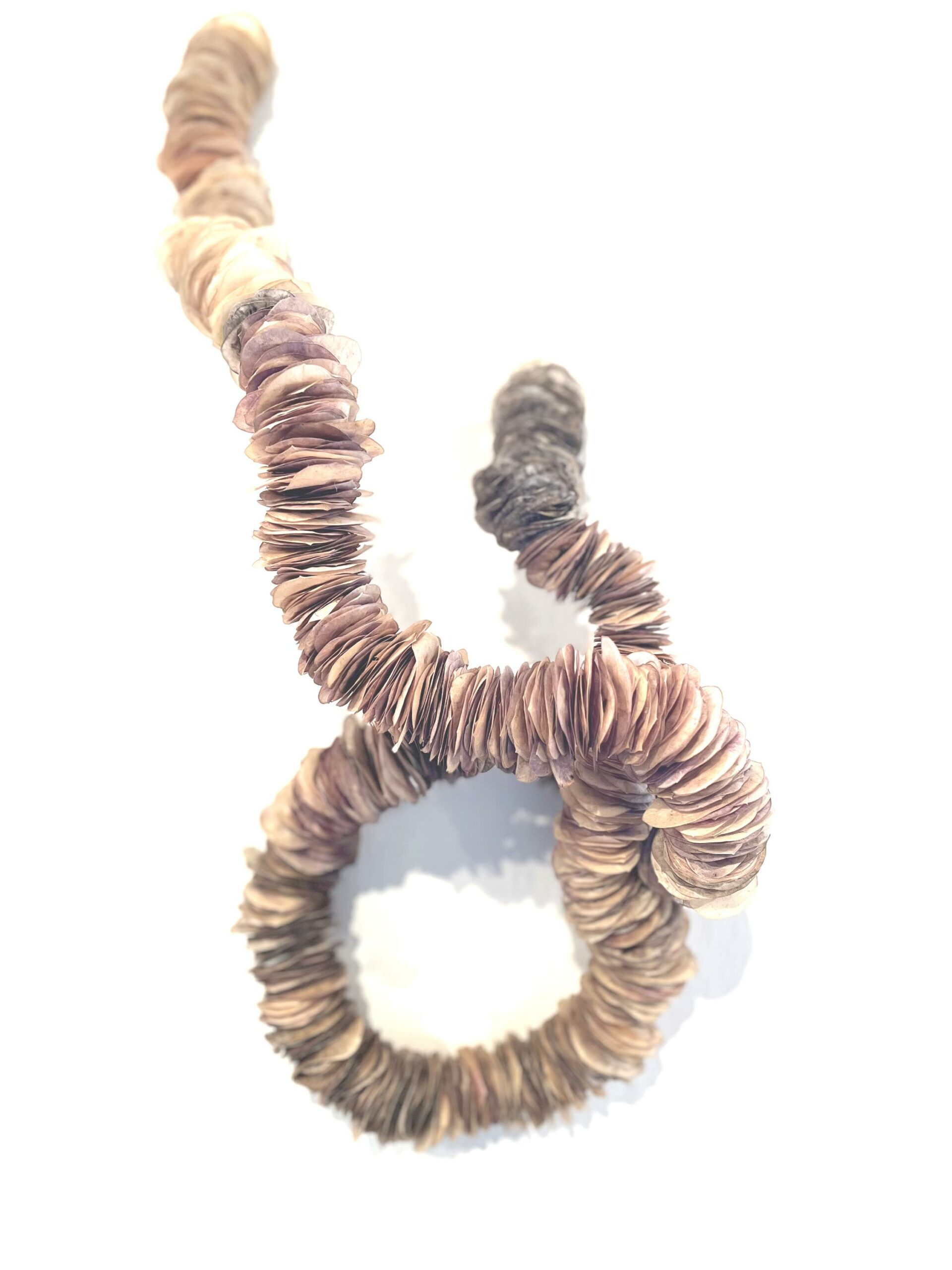 Lunaria Mondviole II - Barbara Sophie H&ouml;cherl 