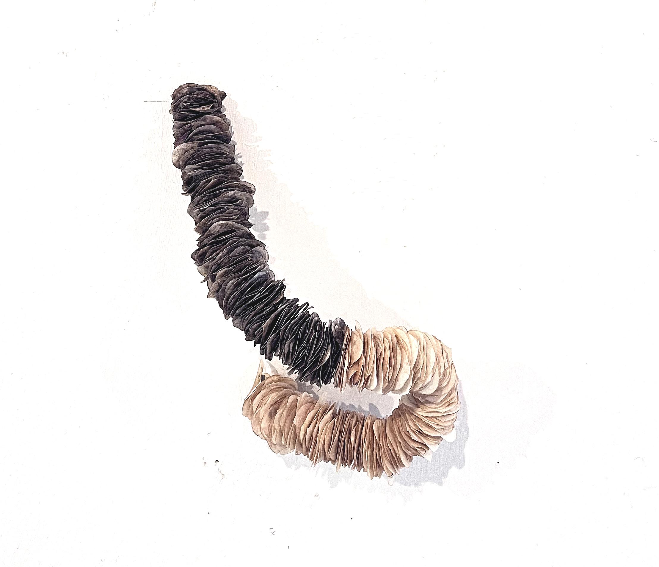 Lunaria Mondviole I - Barbara Sophie H&ouml;cherl 