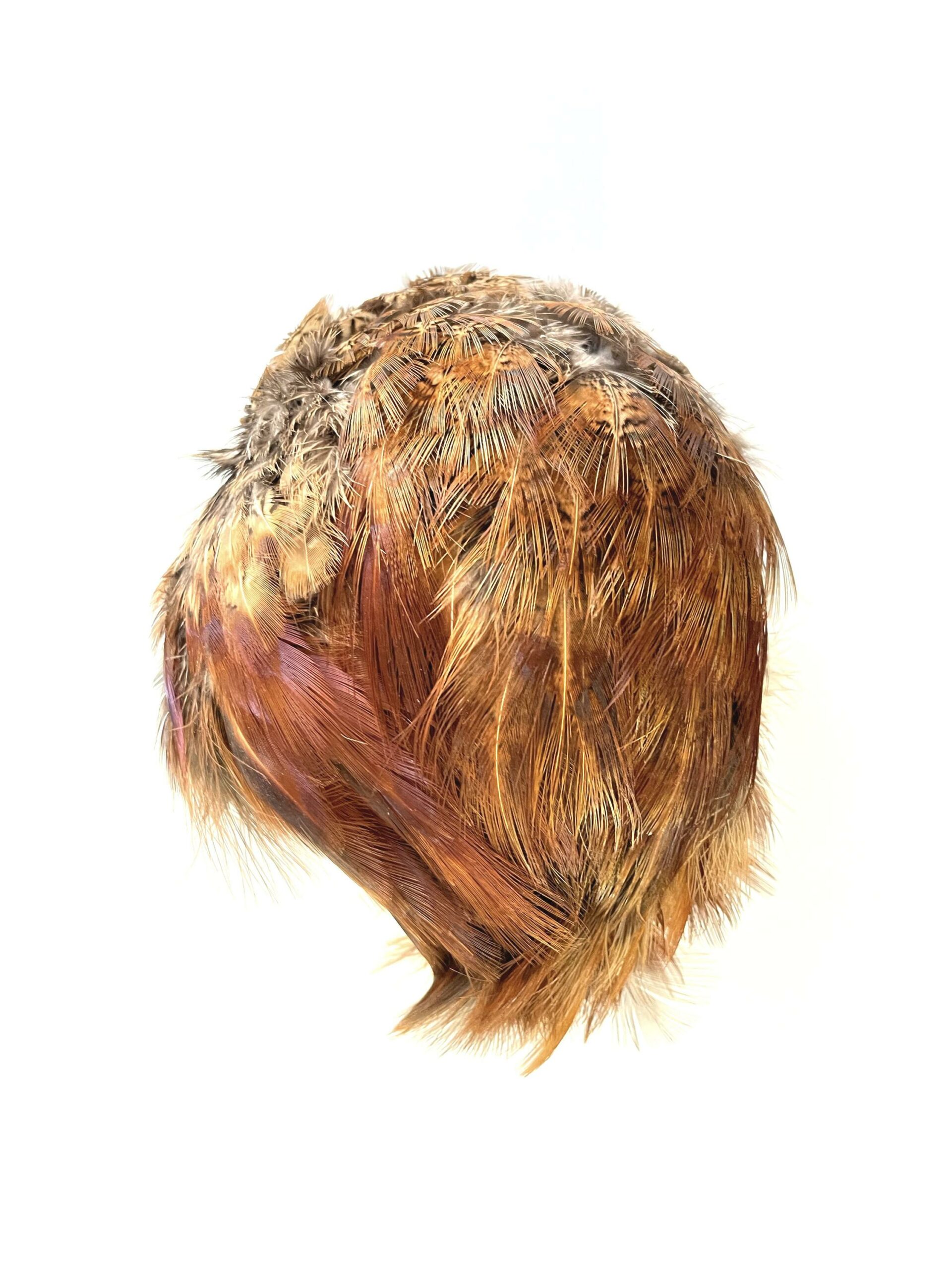 Fasan – 2402 - Barbara Sophie Höcherl 