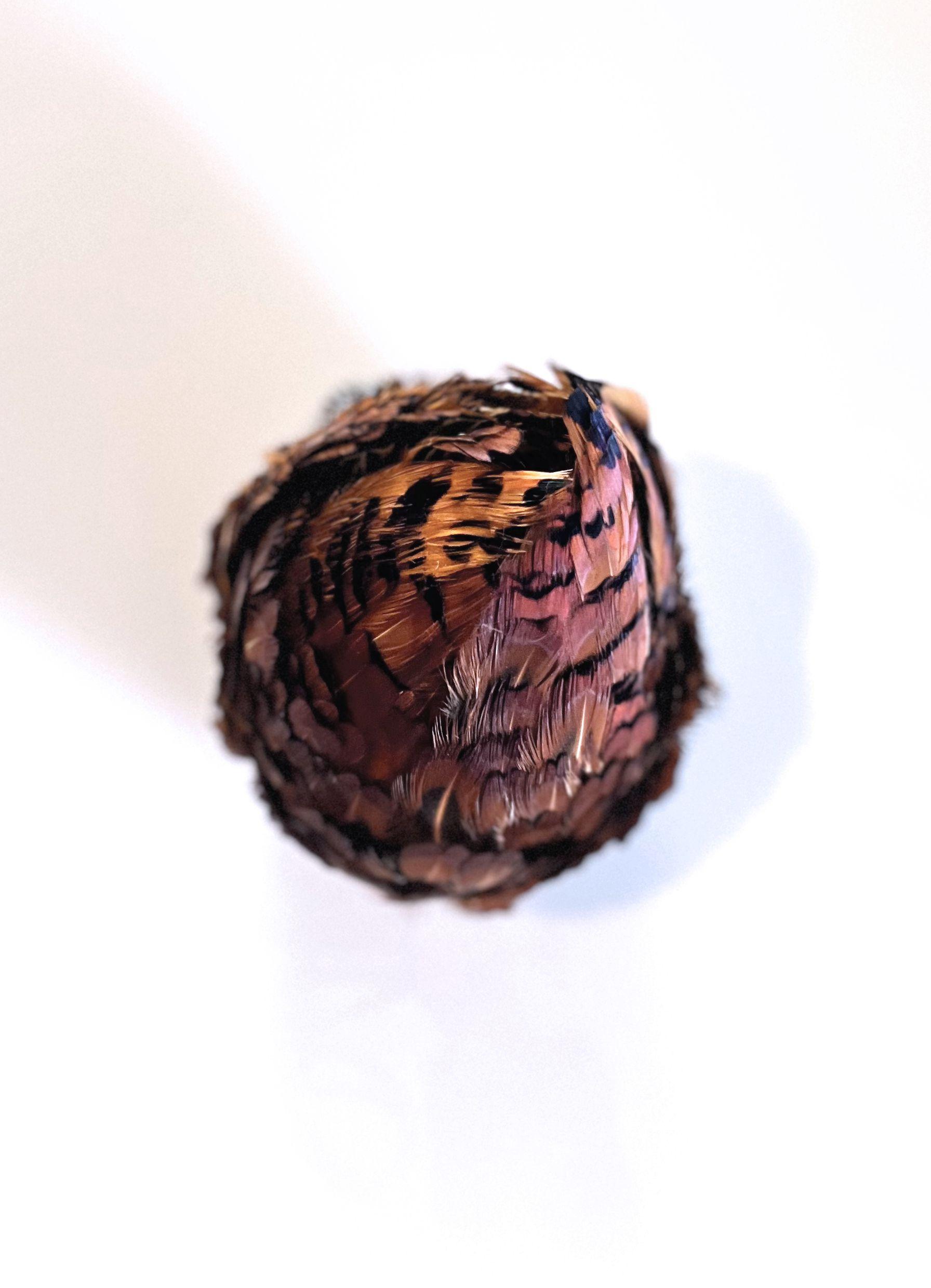 Fasan II – 2407 - Barbara Sophie Höcherl 