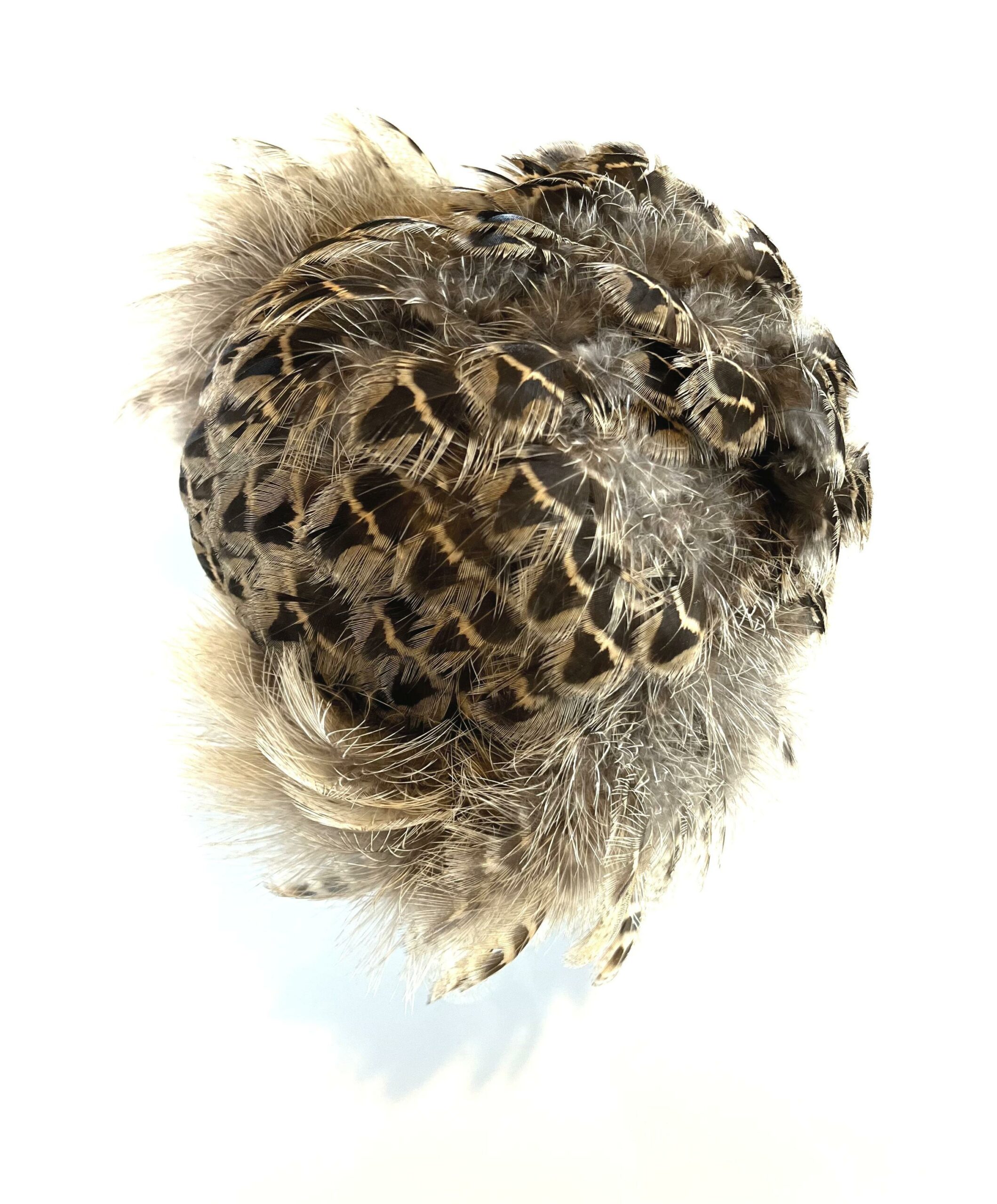 Fasan &ndash; 2302 - Barbara Sophie H&ouml;cherl 