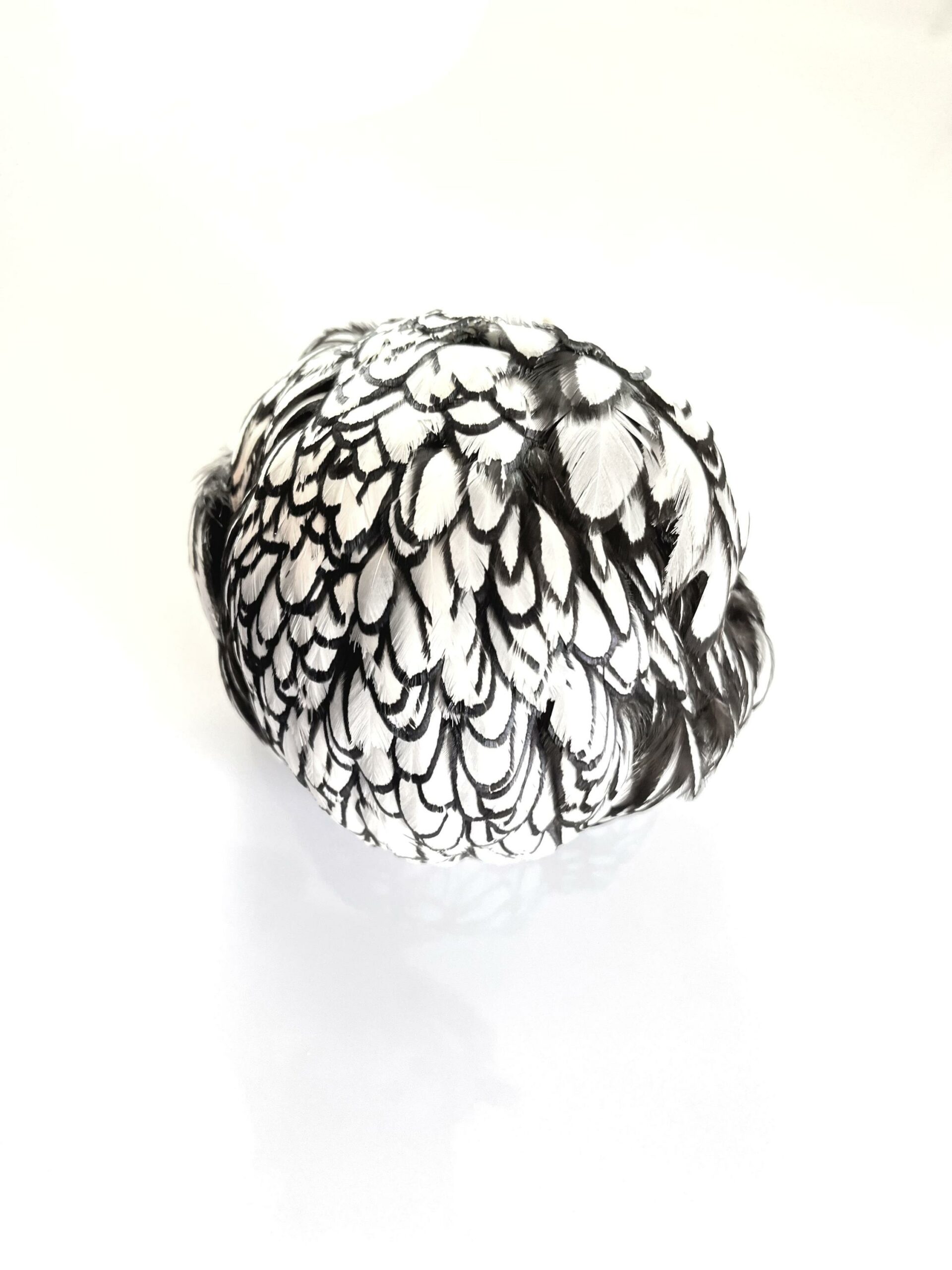 Huhn &ndash; 2404 - Barbara Sophie H&ouml;cherl 