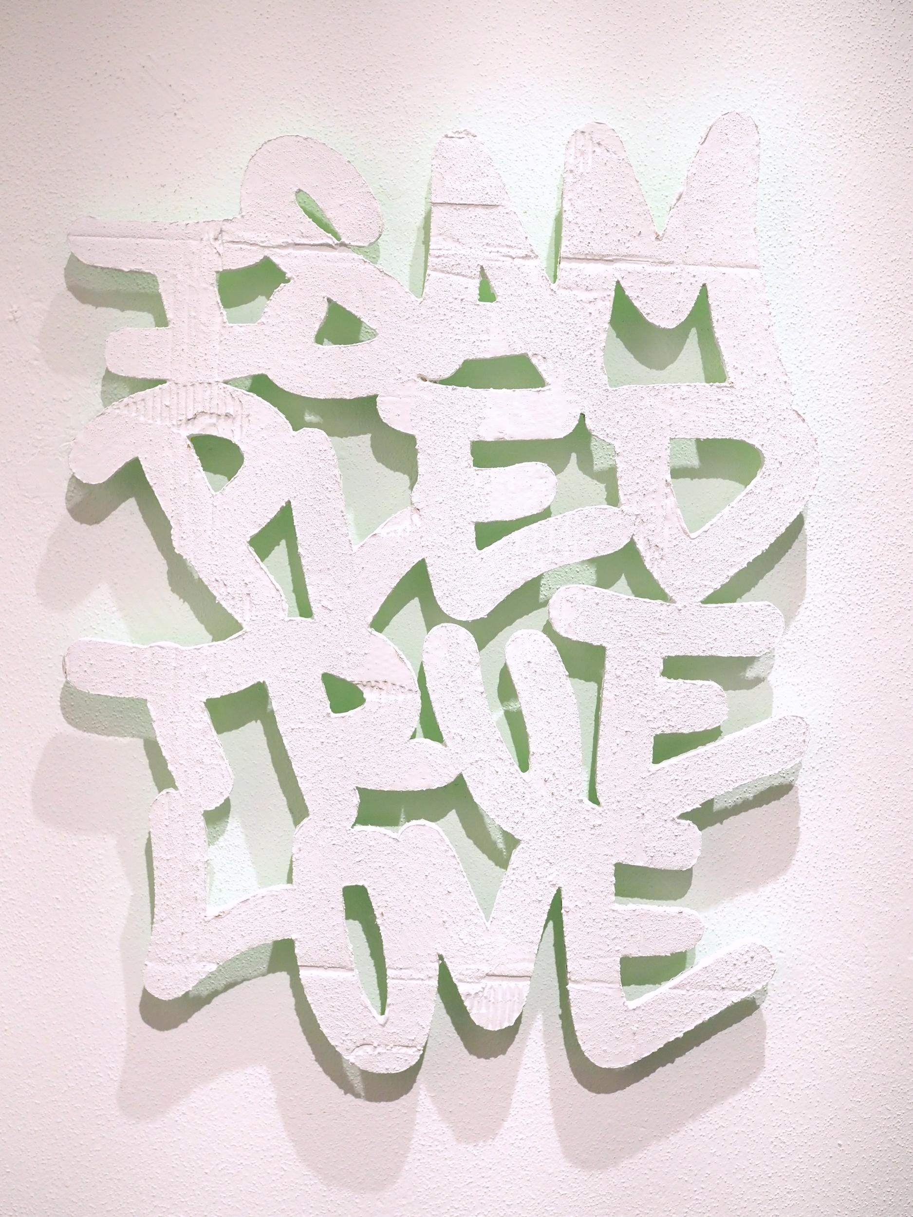 I Sampled True Love - Ashwan 