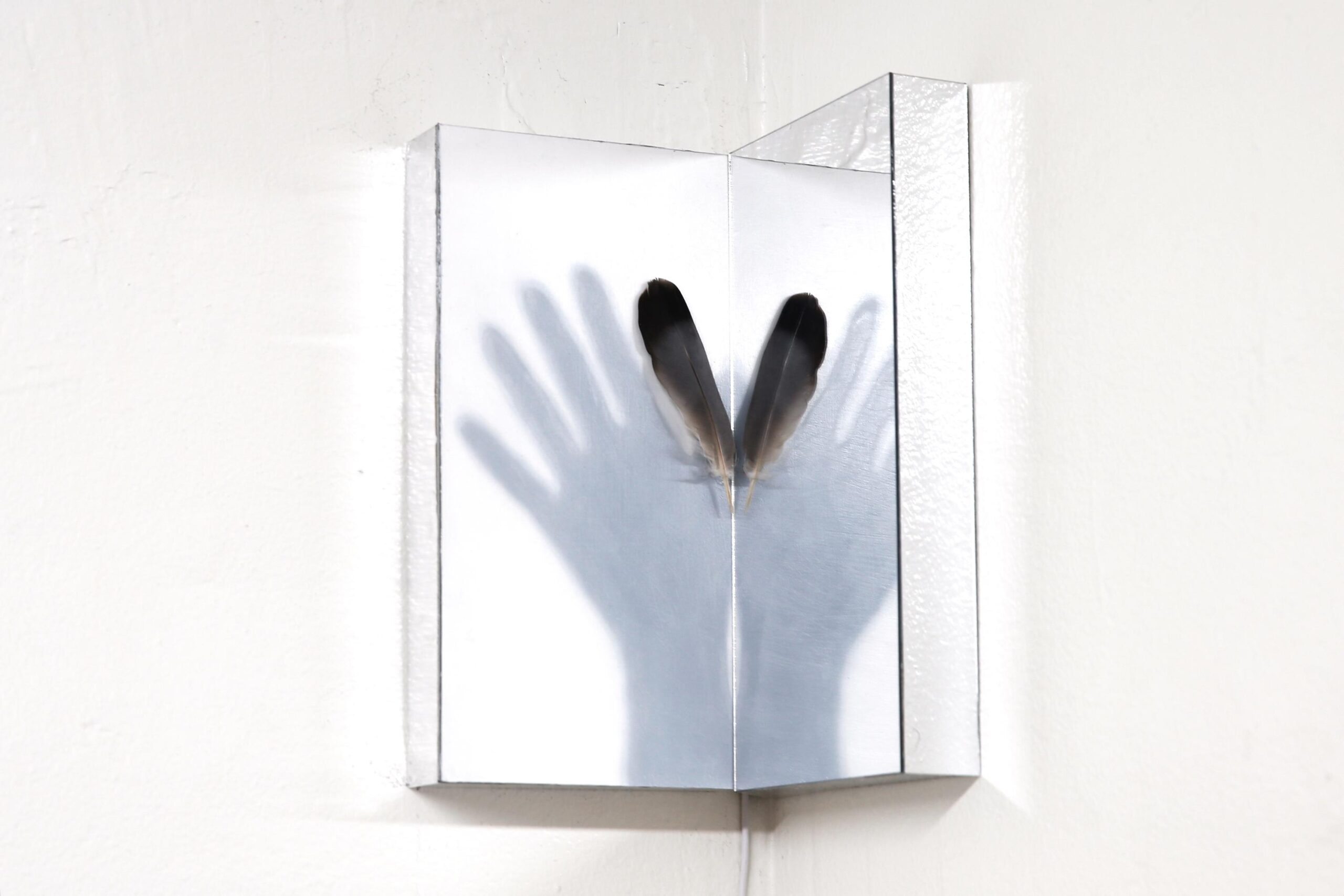 The duration of the present (Bird shadow white) - Johanna Strobel 