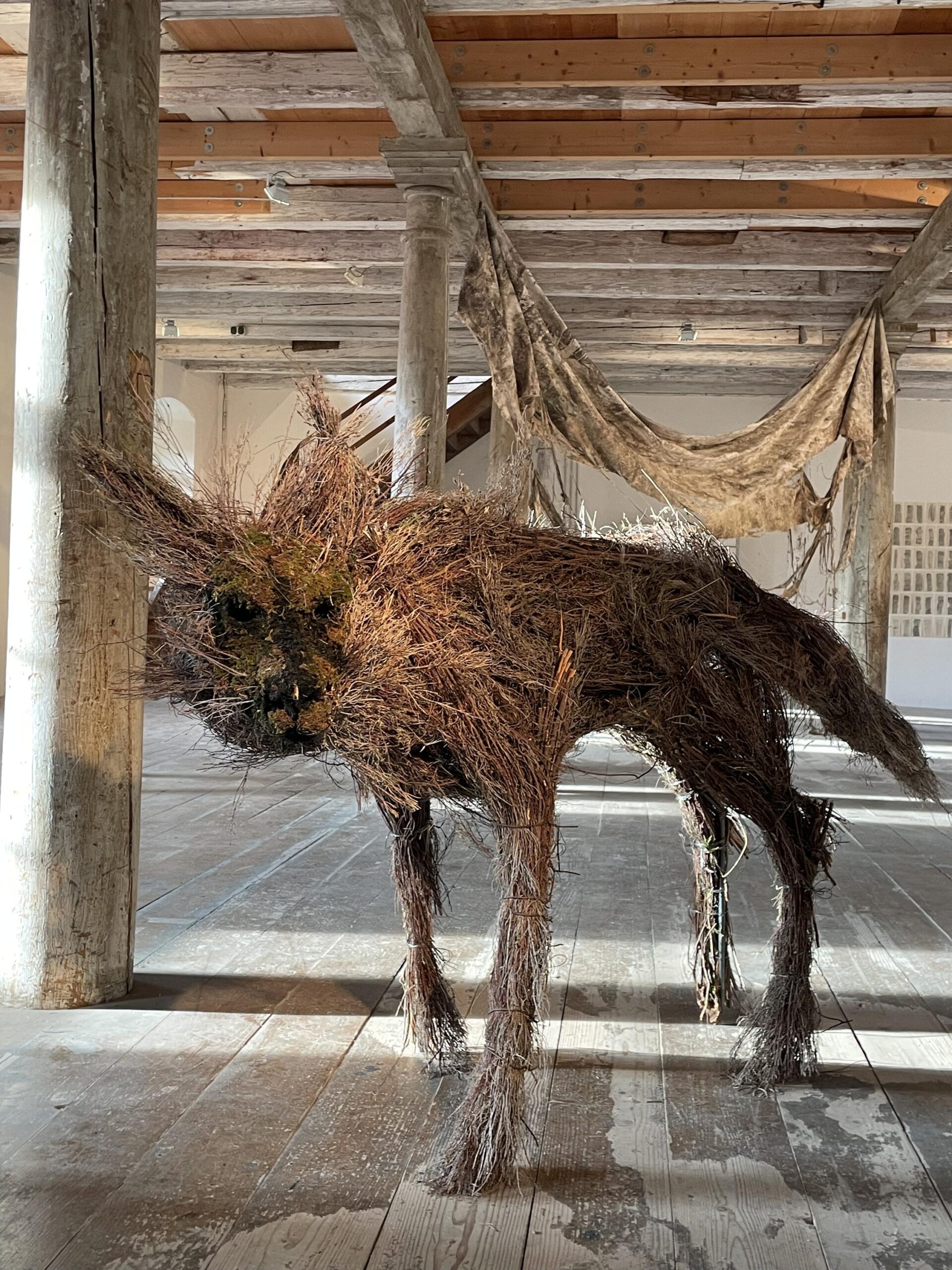 Lupo - Antonio Massarutto 