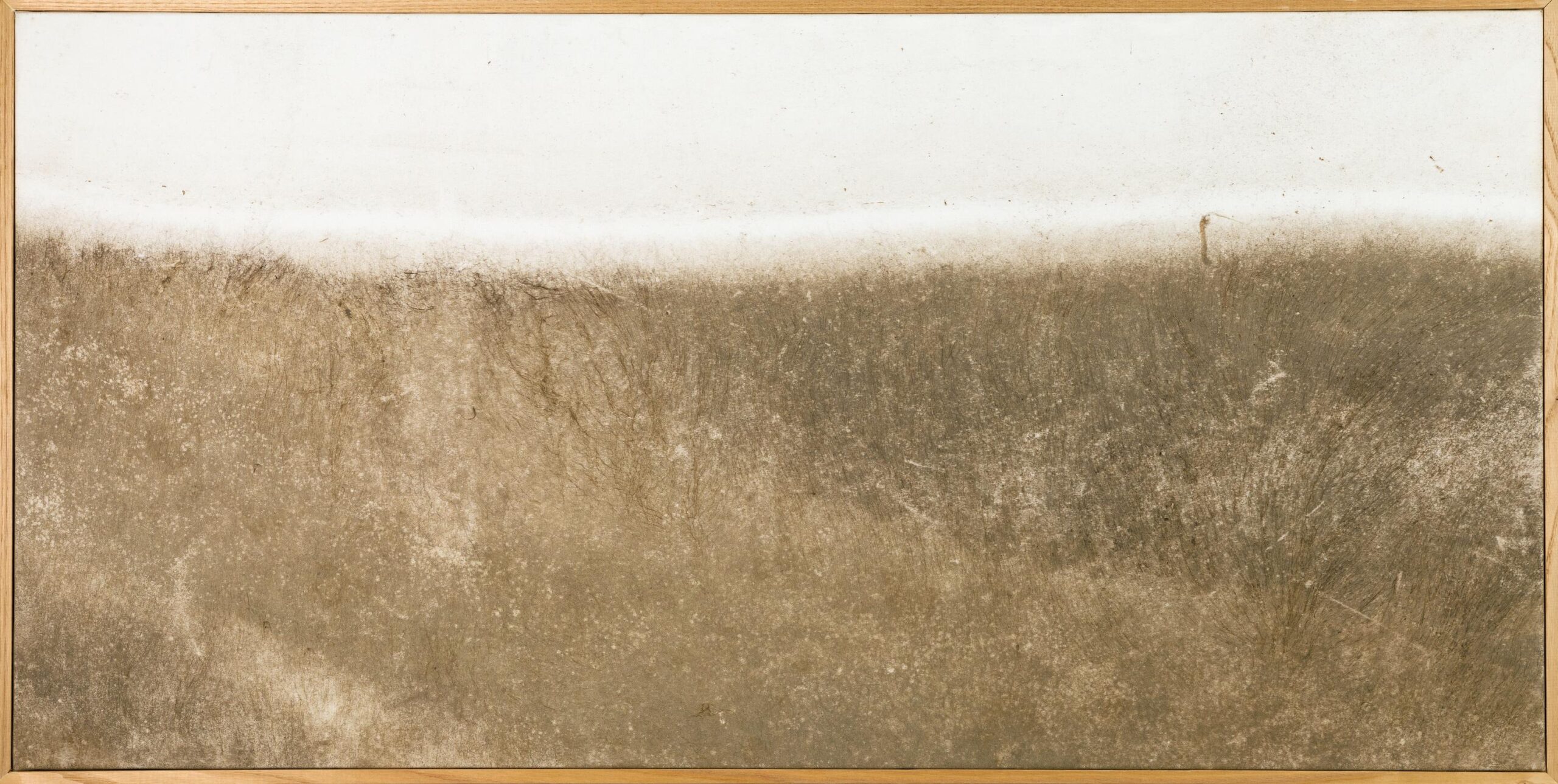 Naturografia di Lago - Roberto Ghezzi 