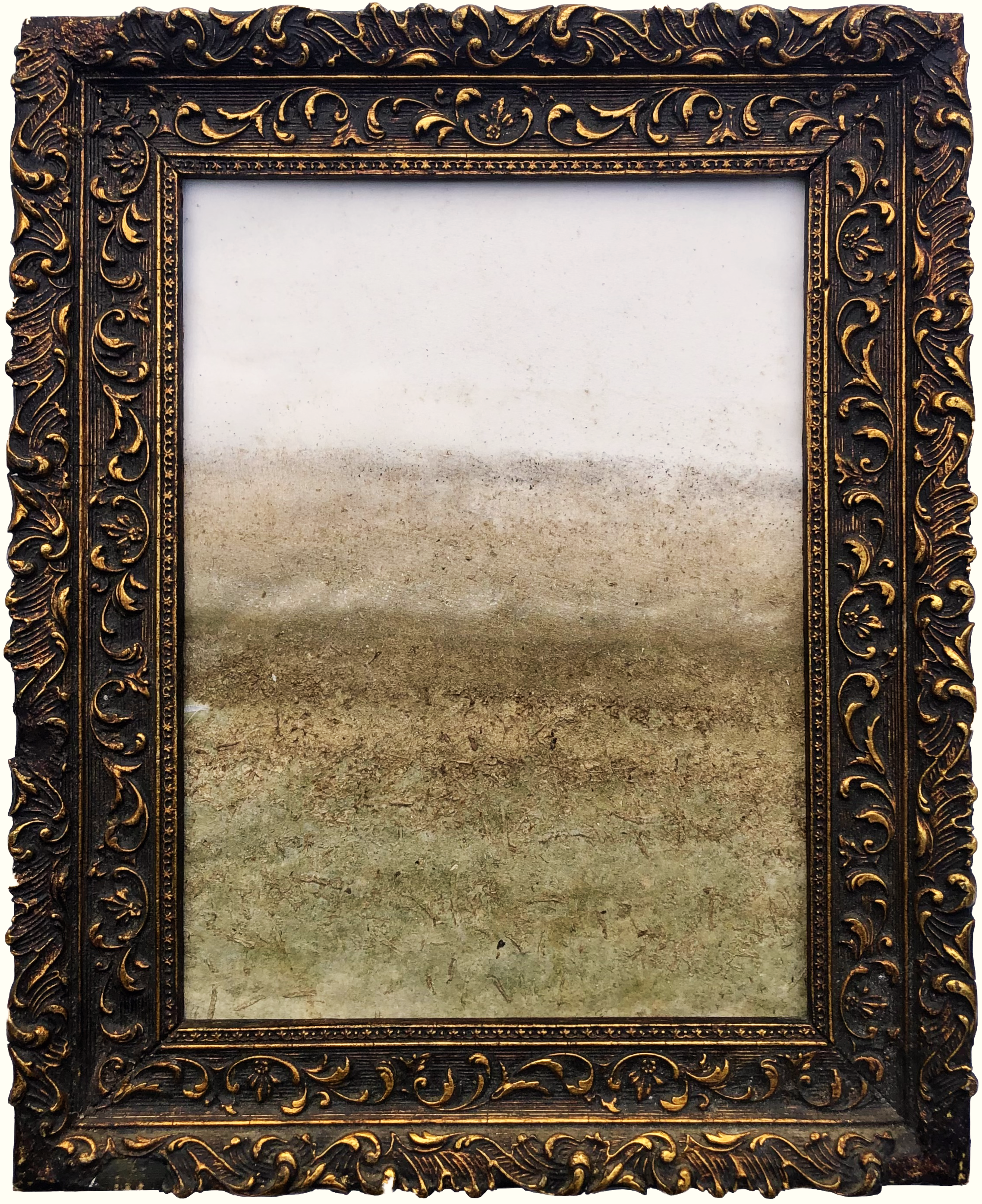 Naturografia di Lago - Roberto Ghezzi 