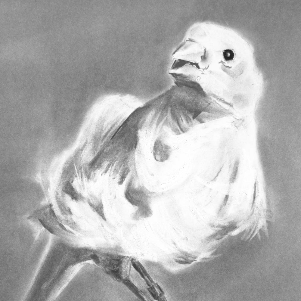 HUMAN MADE - huber.huber 