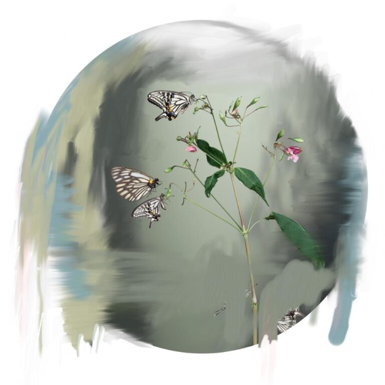 PAPILIO - huber.huber, Madeleine Schollerer, Sandra Kantanen 