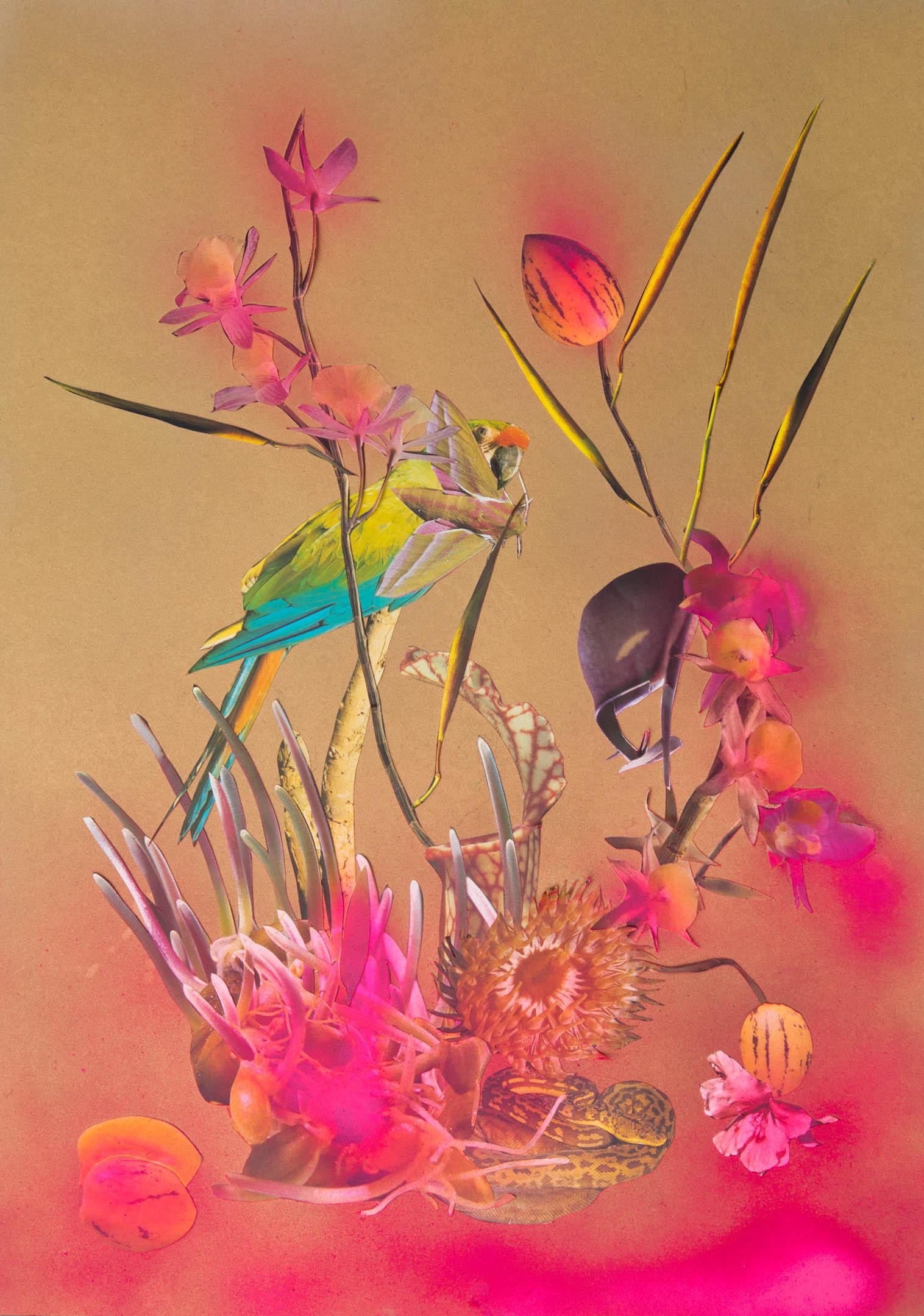 Carnivorous_15 - huber.huber huber.huber