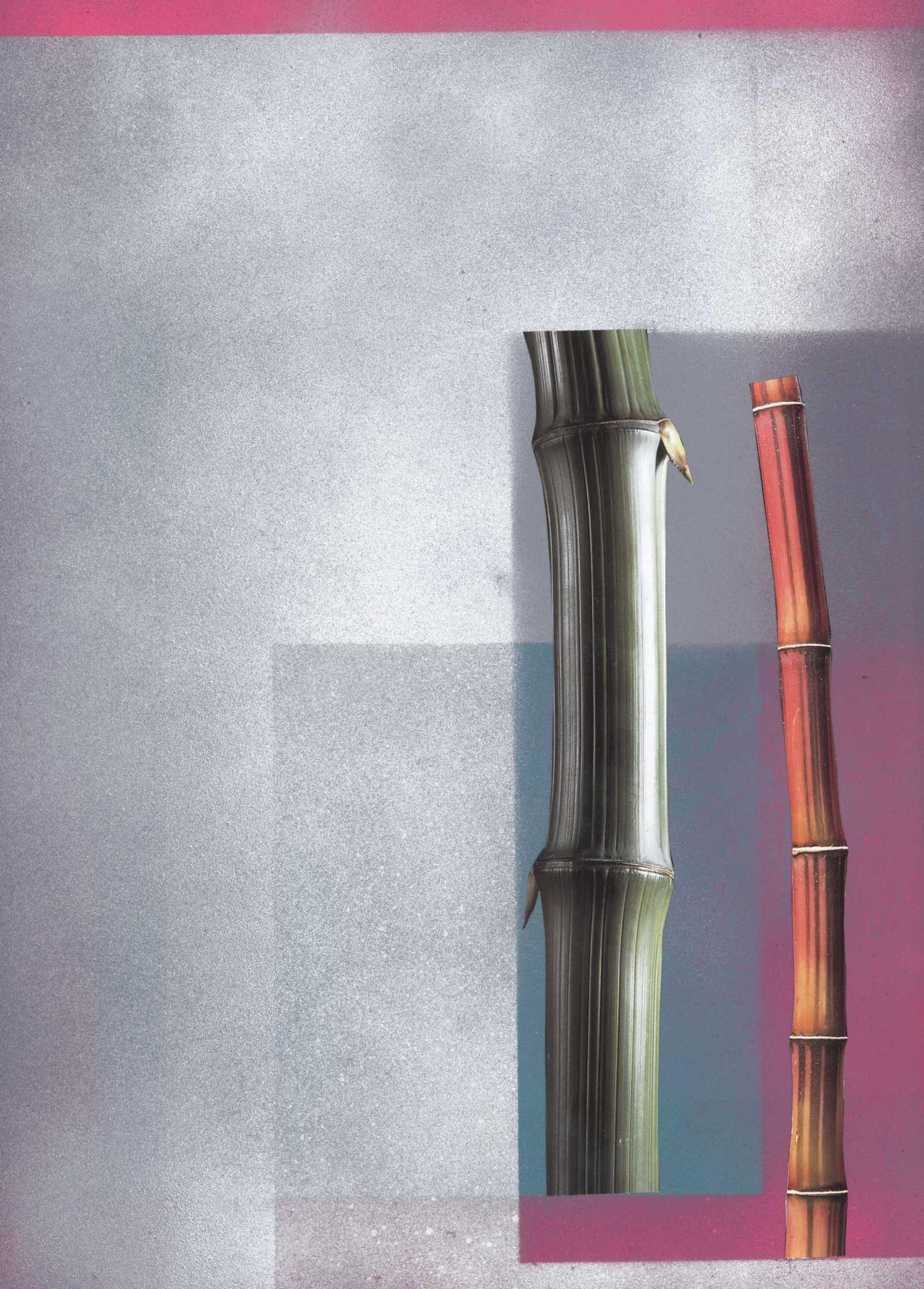 strange plants - huber.huber huber.huber