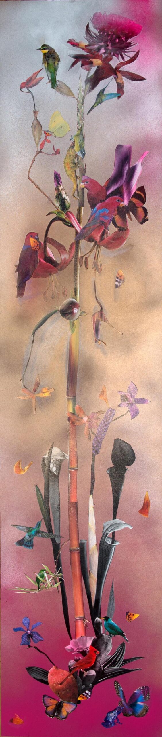 Carnivorous (5) - huber.huber huber.huber