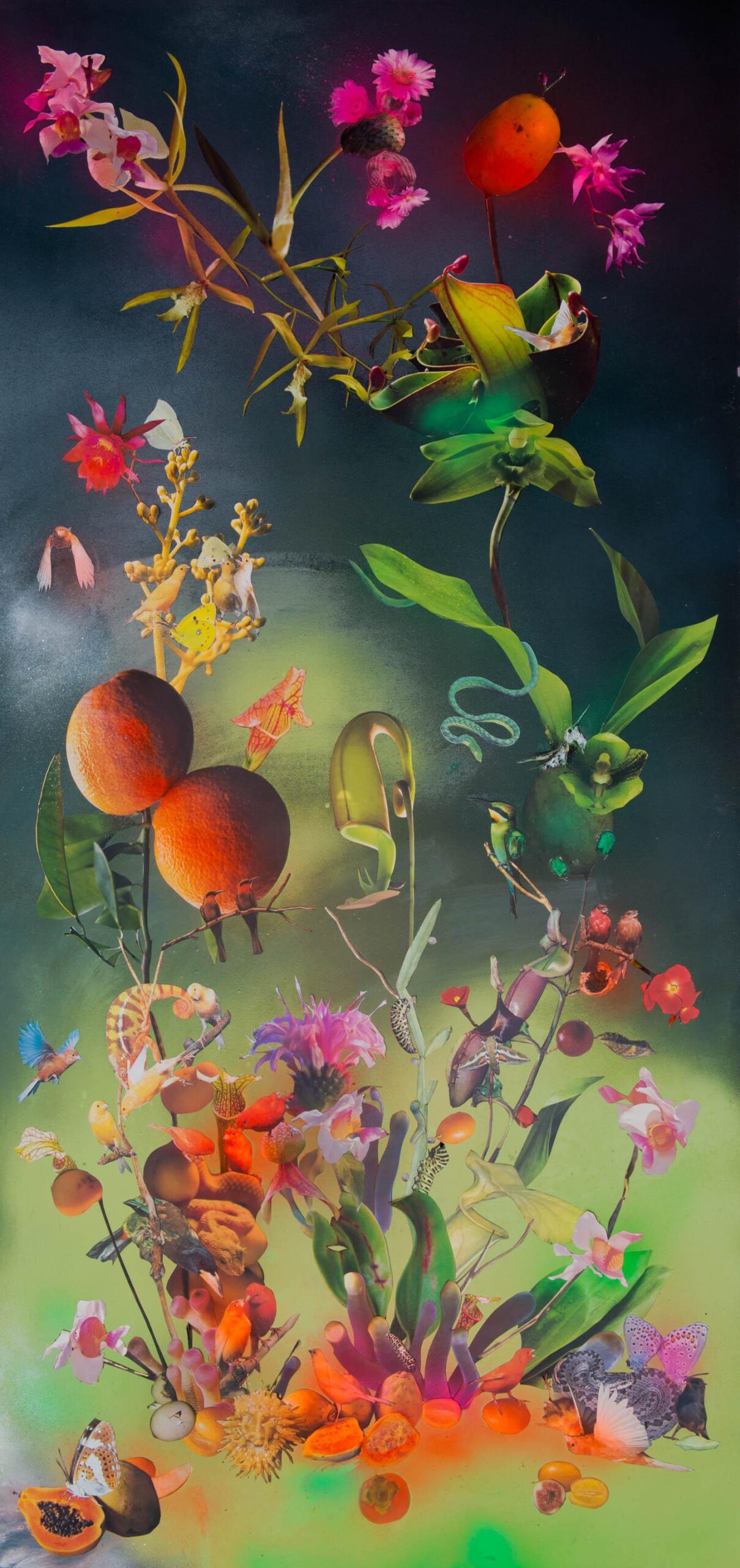 Carnivorous (17) - huber.huber huber.huber