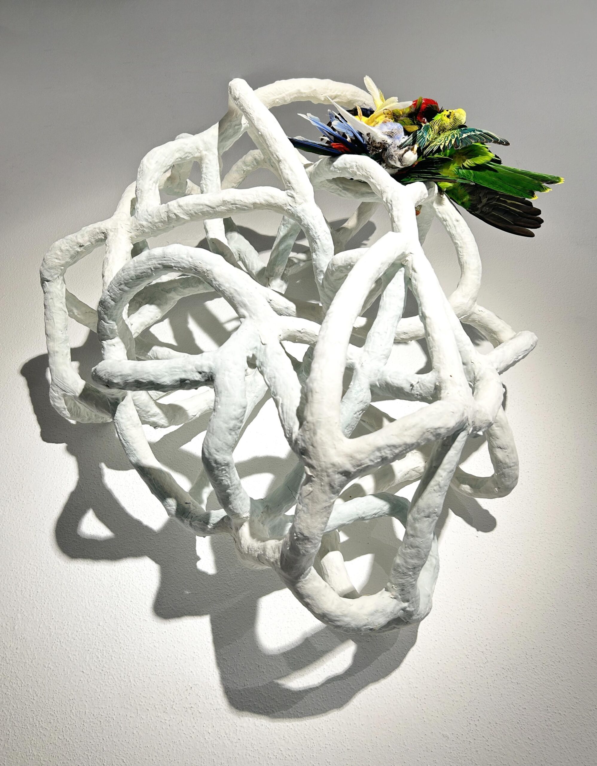 Orbis II - Barbara Sophie Höcherl Barbara Sophie Höcherl