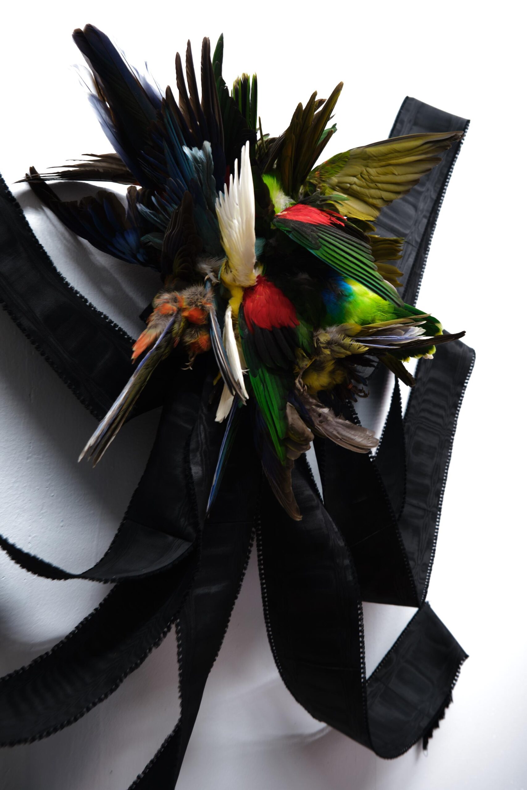 Loop - Barbara Sophie H&ouml;cherl Barbara Sophie H&ouml;cherl