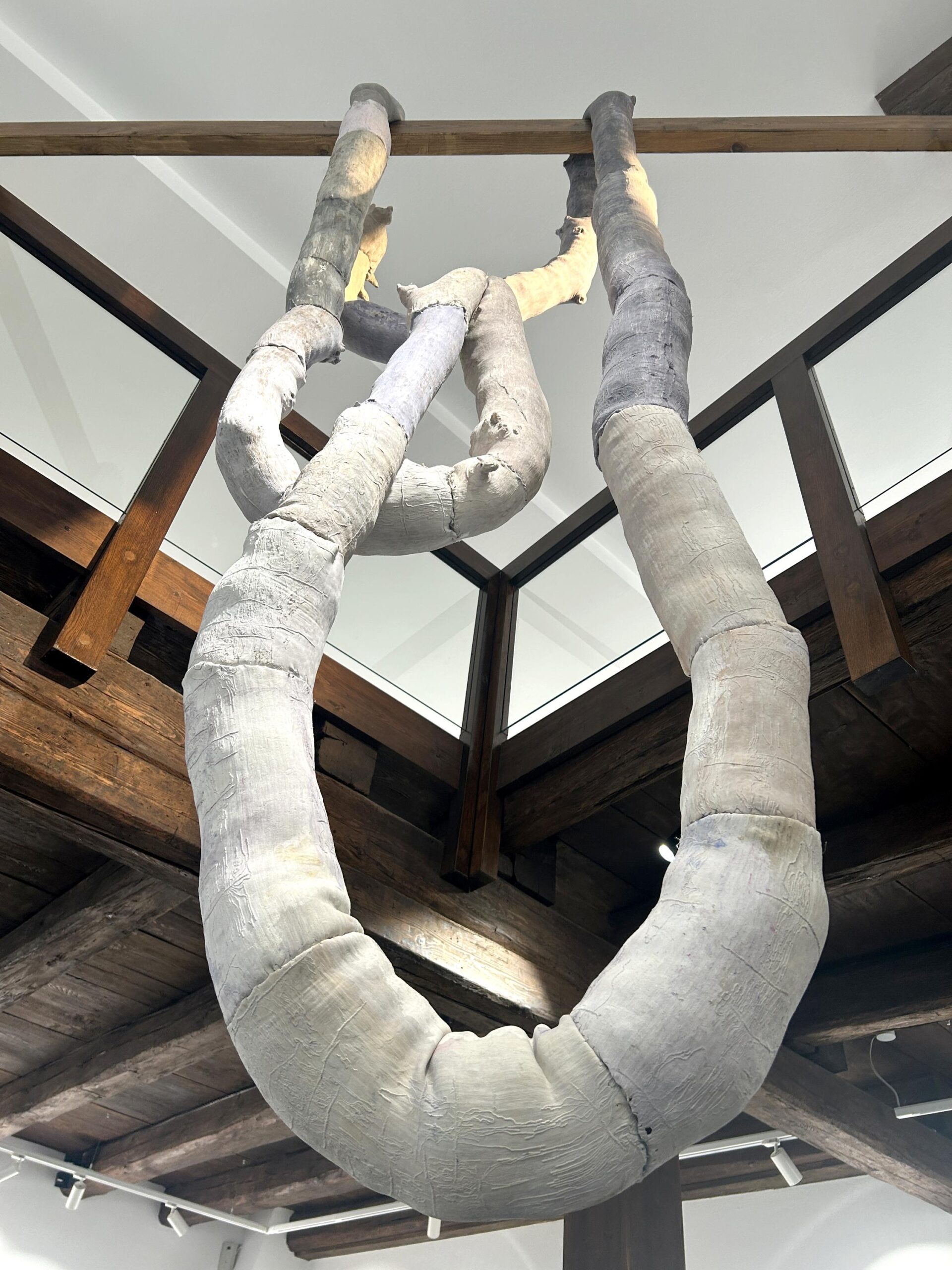 Astwerk - Barbara Sophie H&ouml;cherl Barbara Sophie H&ouml;cherl