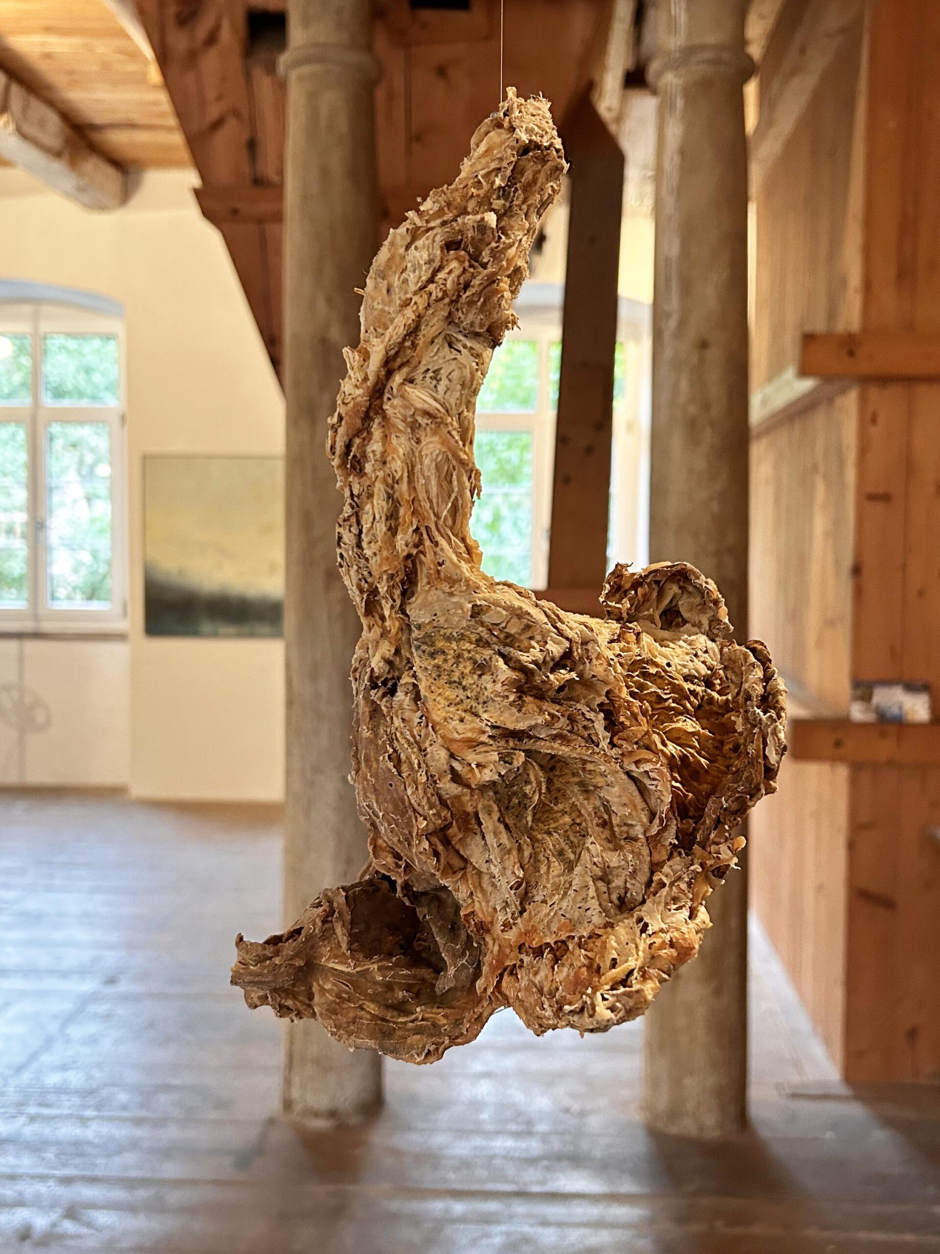 Orbis - Barbara Sophie H&ouml;cherl 