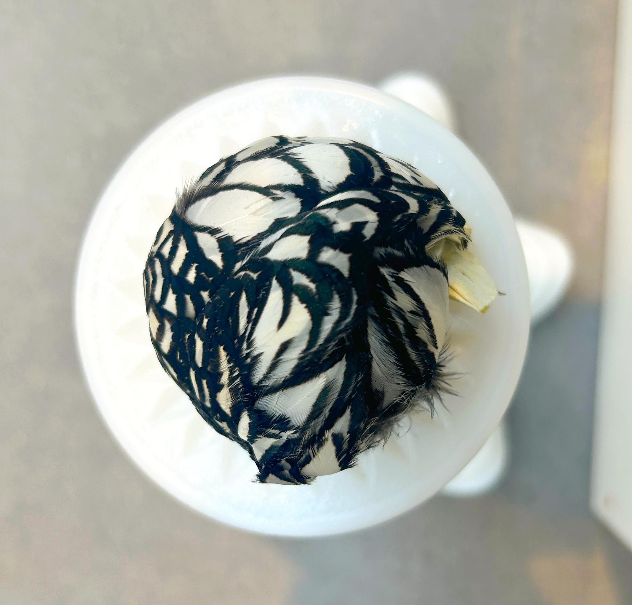 Huhn II - Barbara Sophie Höcherl Barbara Sophie Höcherl