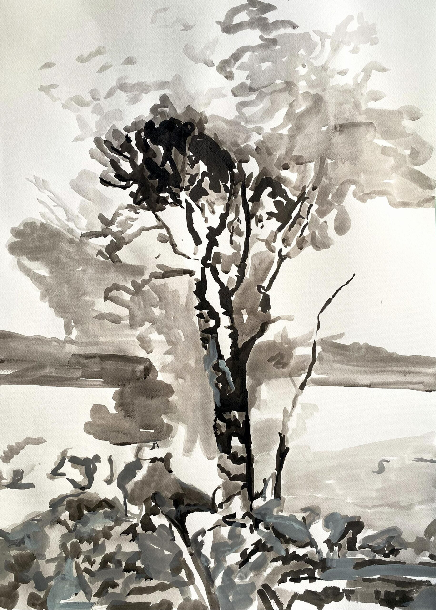 Tree On The Riverside - Angelika T&oacute;th 