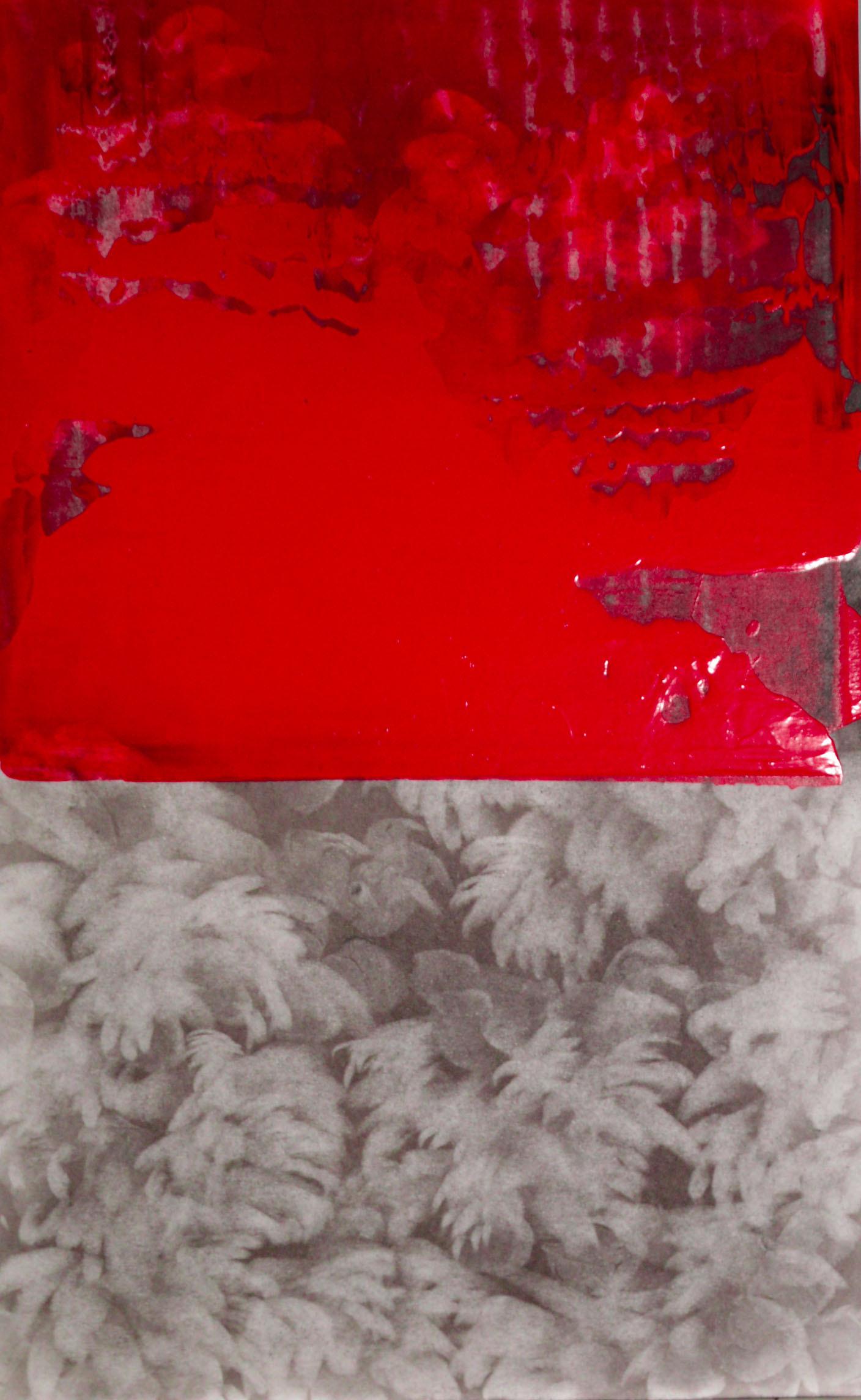 g 19][362 d - Giulia Dall'Olio 