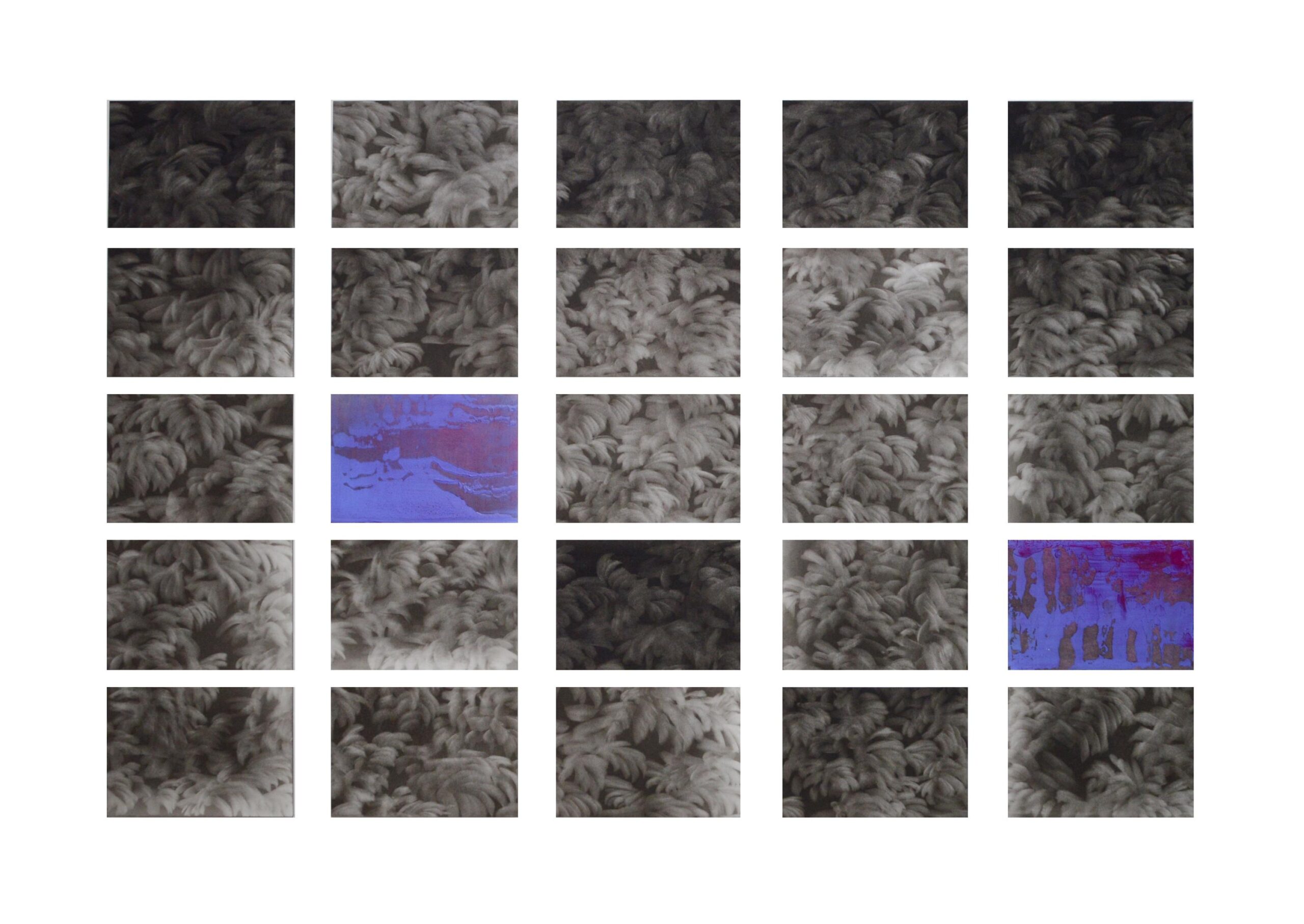 g 19][352 d - Giulia Dall'Olio 