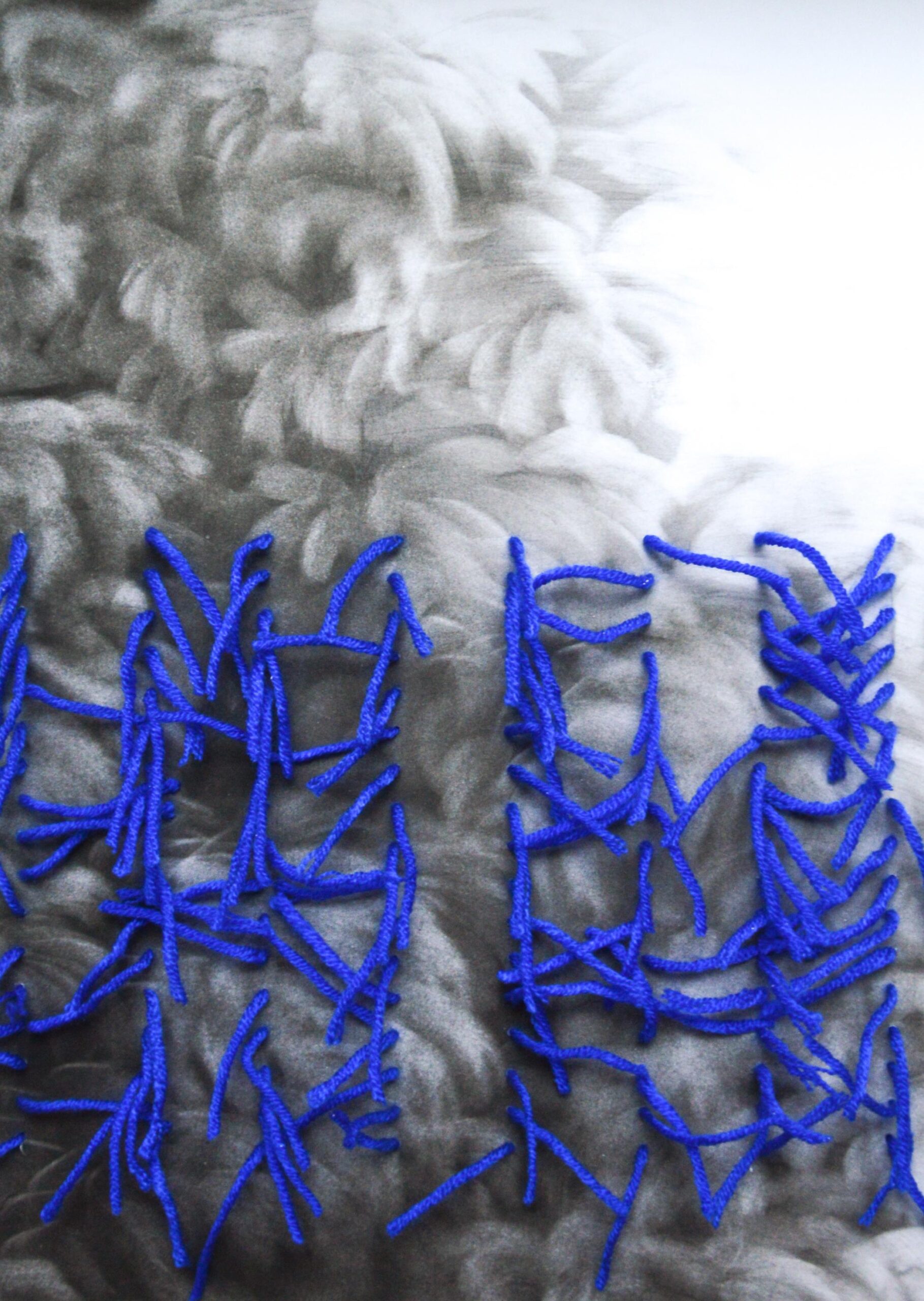 g 19][323 d - Giulia Dall'Olio 