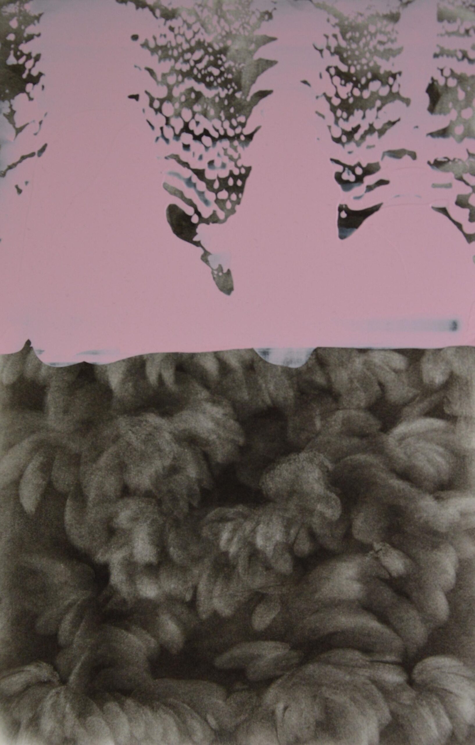 g 19][364 d - Giulia Dall'Olio 