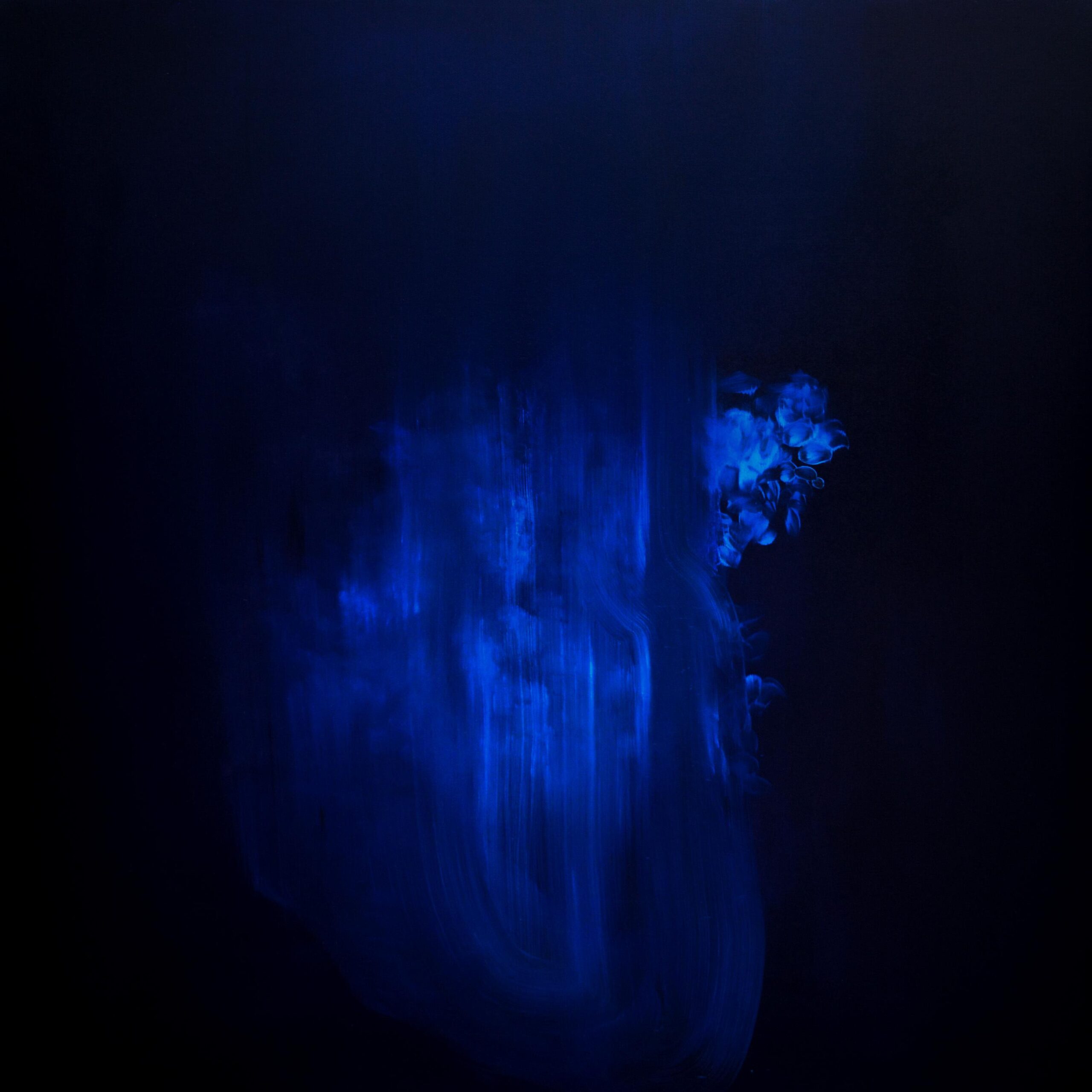 g 8][119 d - Giulia Dall'Olio 