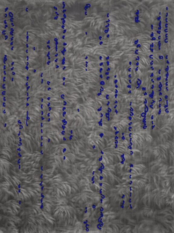 g 19][385 d - Giulia Dall'Olio 