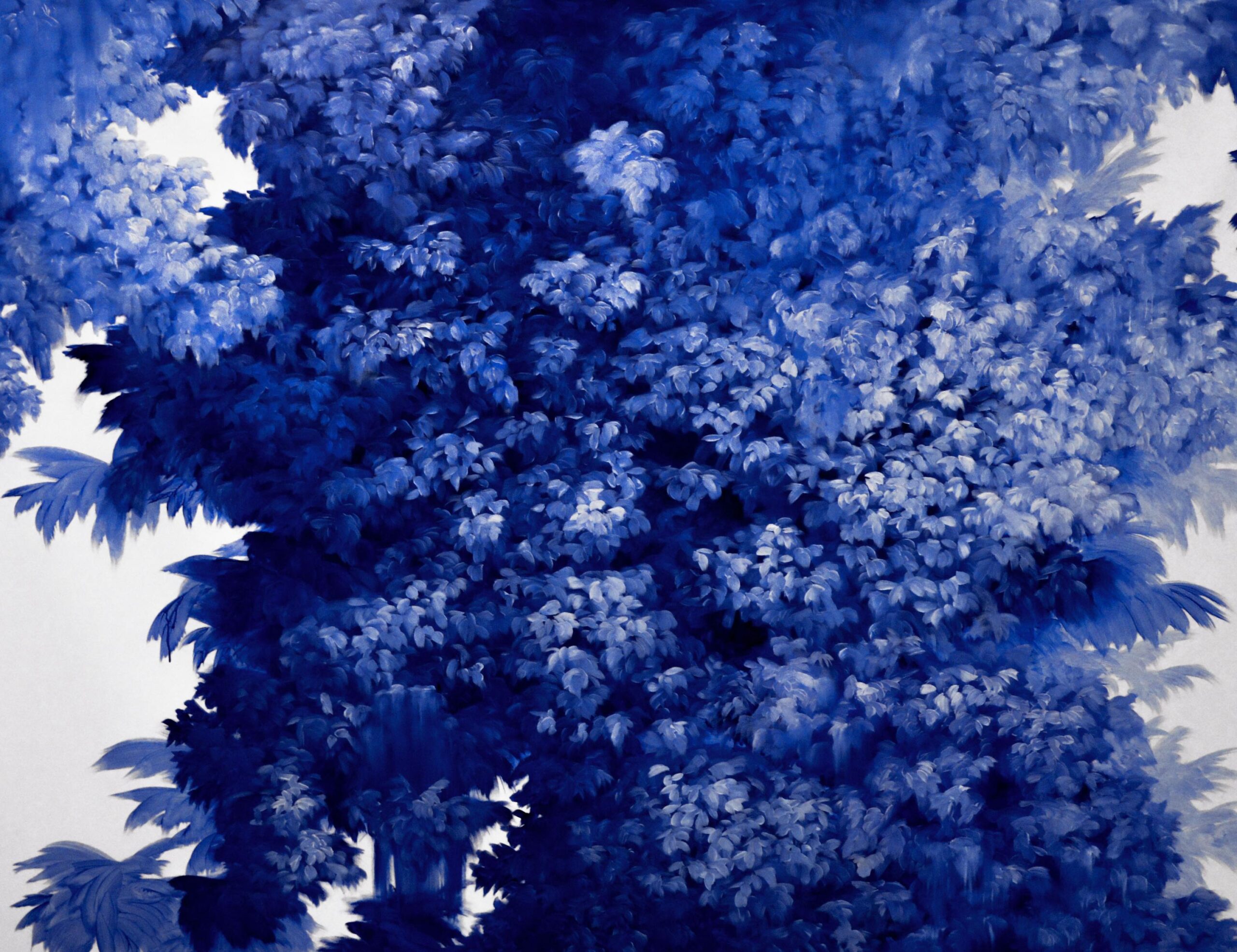 g 8][134 d - Giulia Dall'Olio 