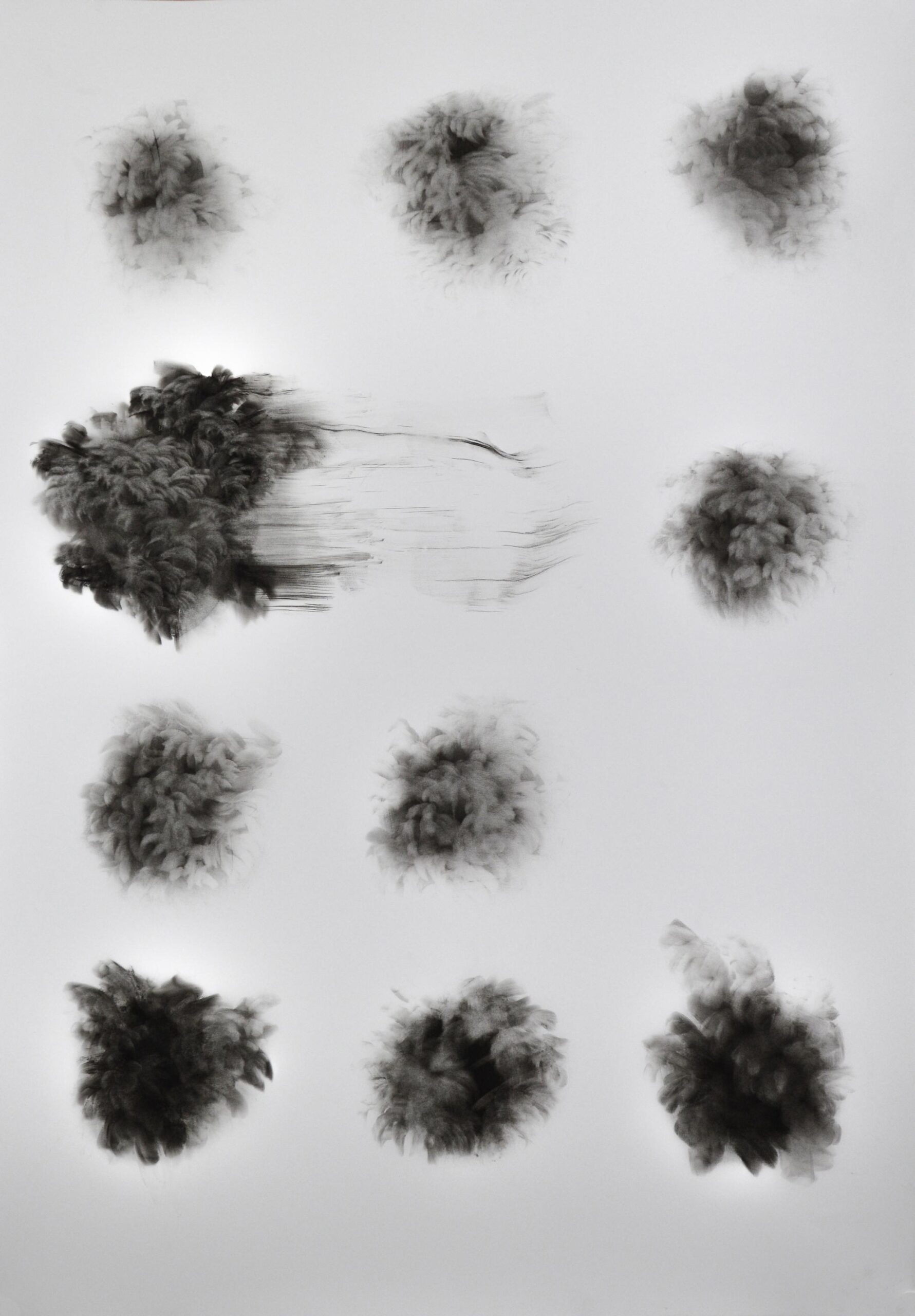 g 19][313 d - Giulia Dall'Olio 