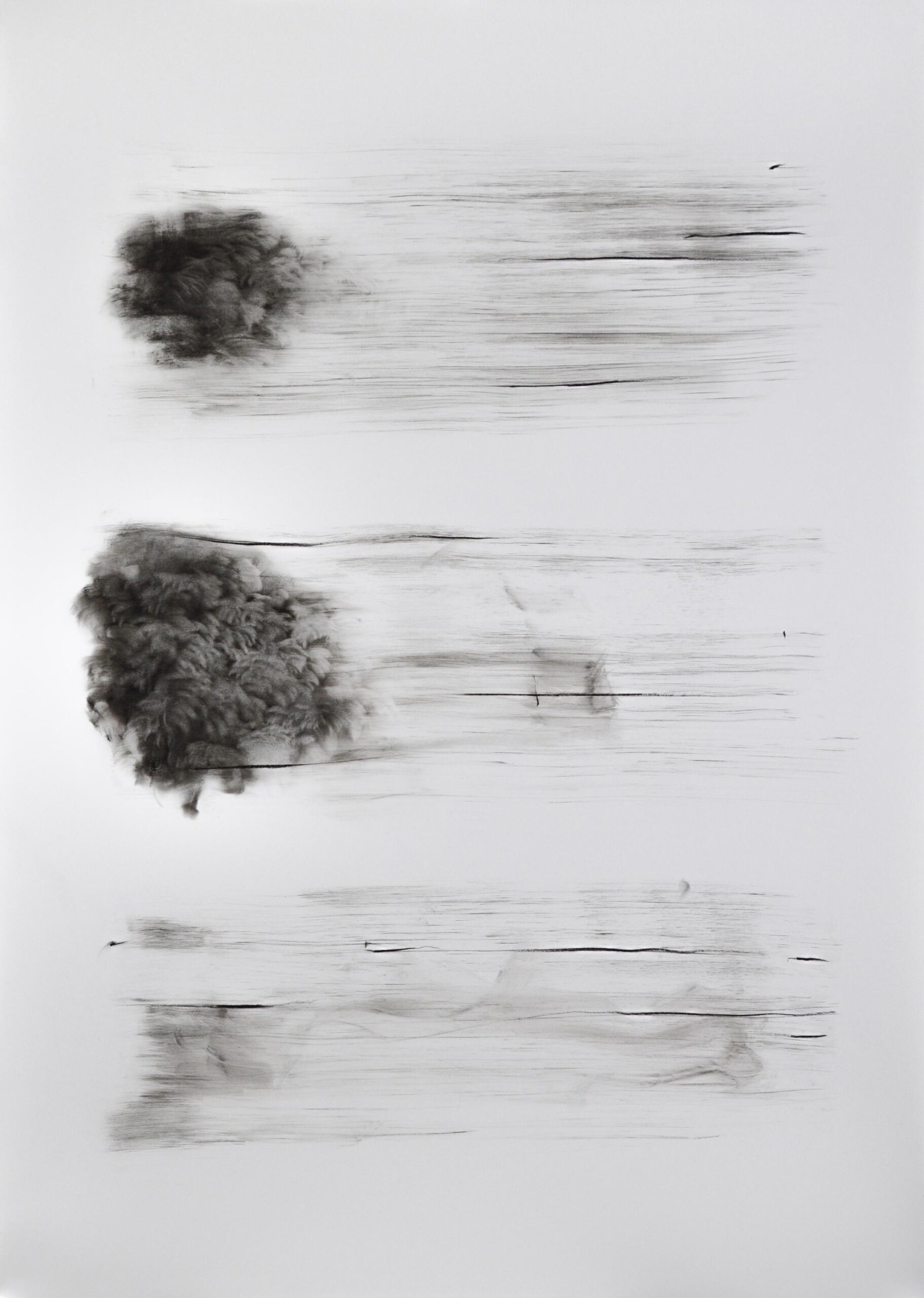 g 19][309 d - Giulia Dall'Olio 