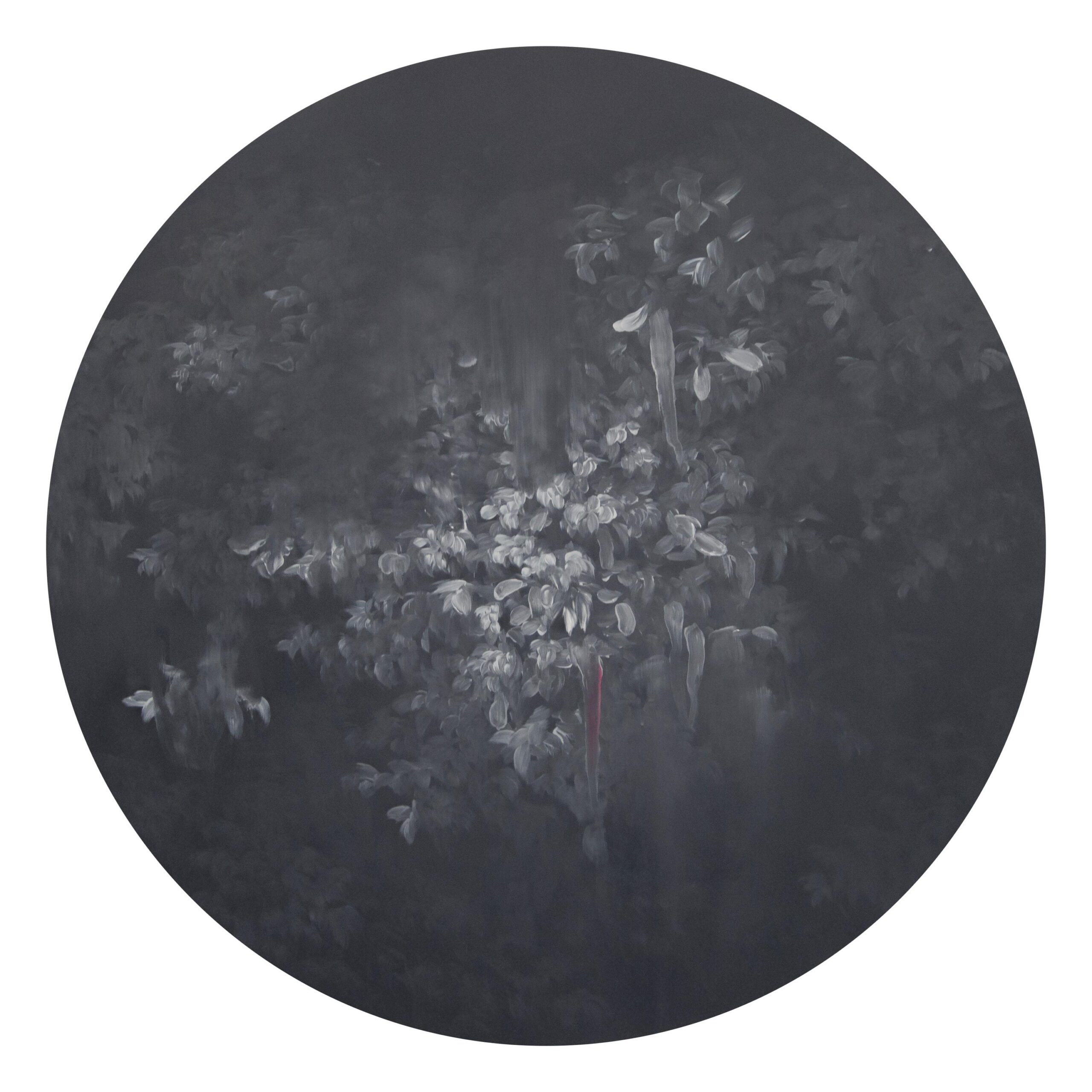 g 8][127 d - Giulia Dall'Olio 