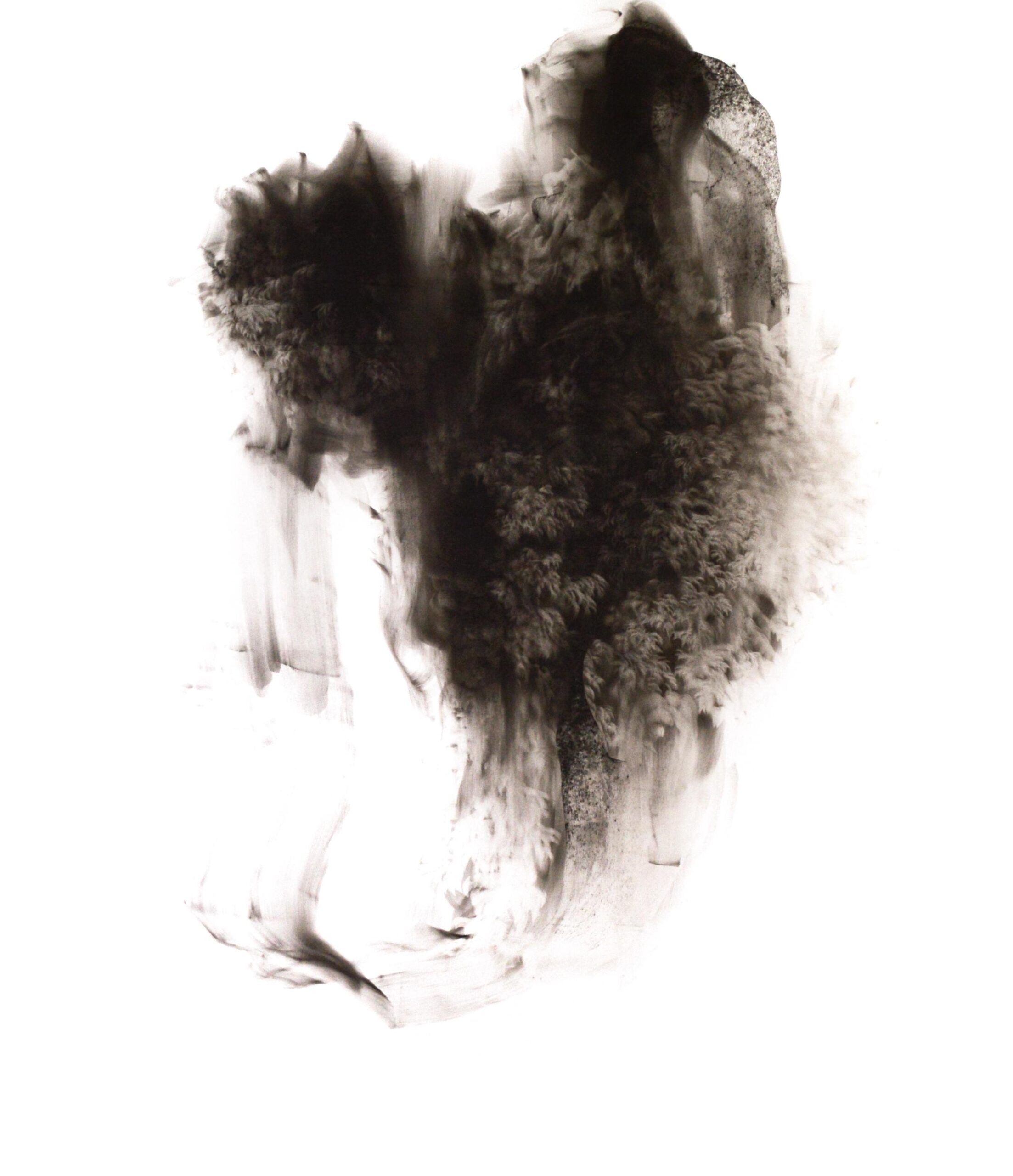 g 19][235 d - Giulia Dall'Olio 