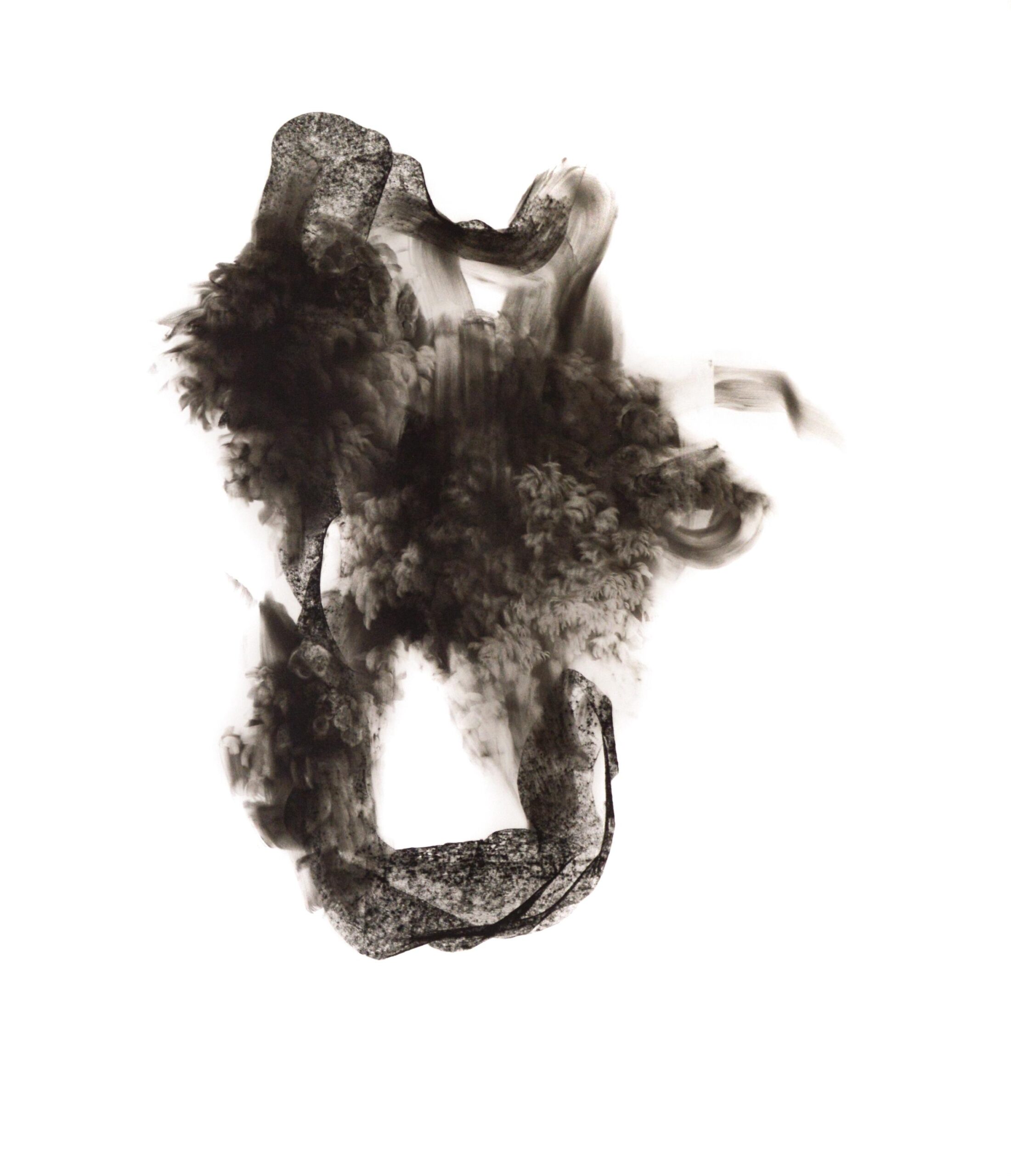 g 19][232 d - Giulia Dall'Olio 