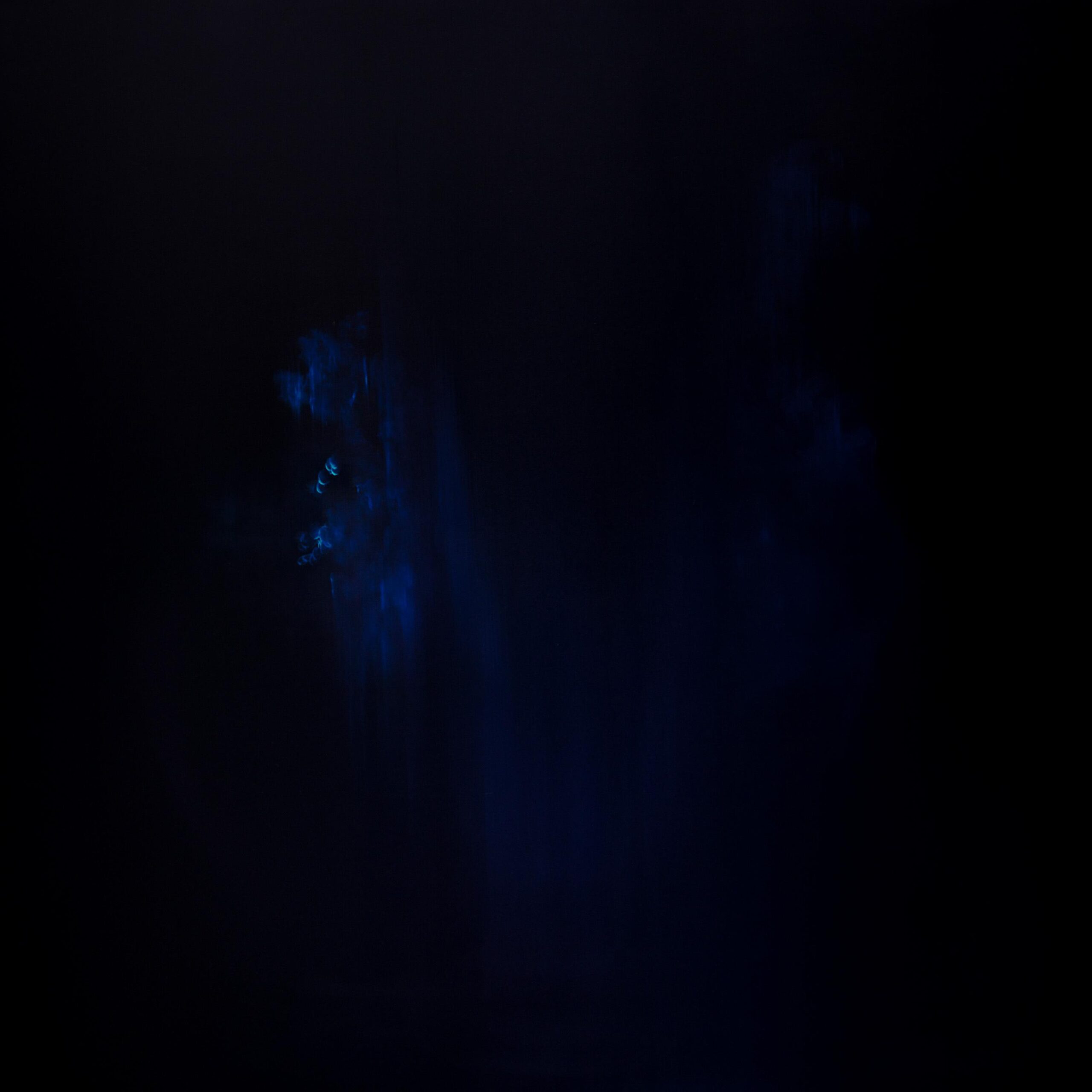 g 8][121 d - Giulia Dall'Olio 