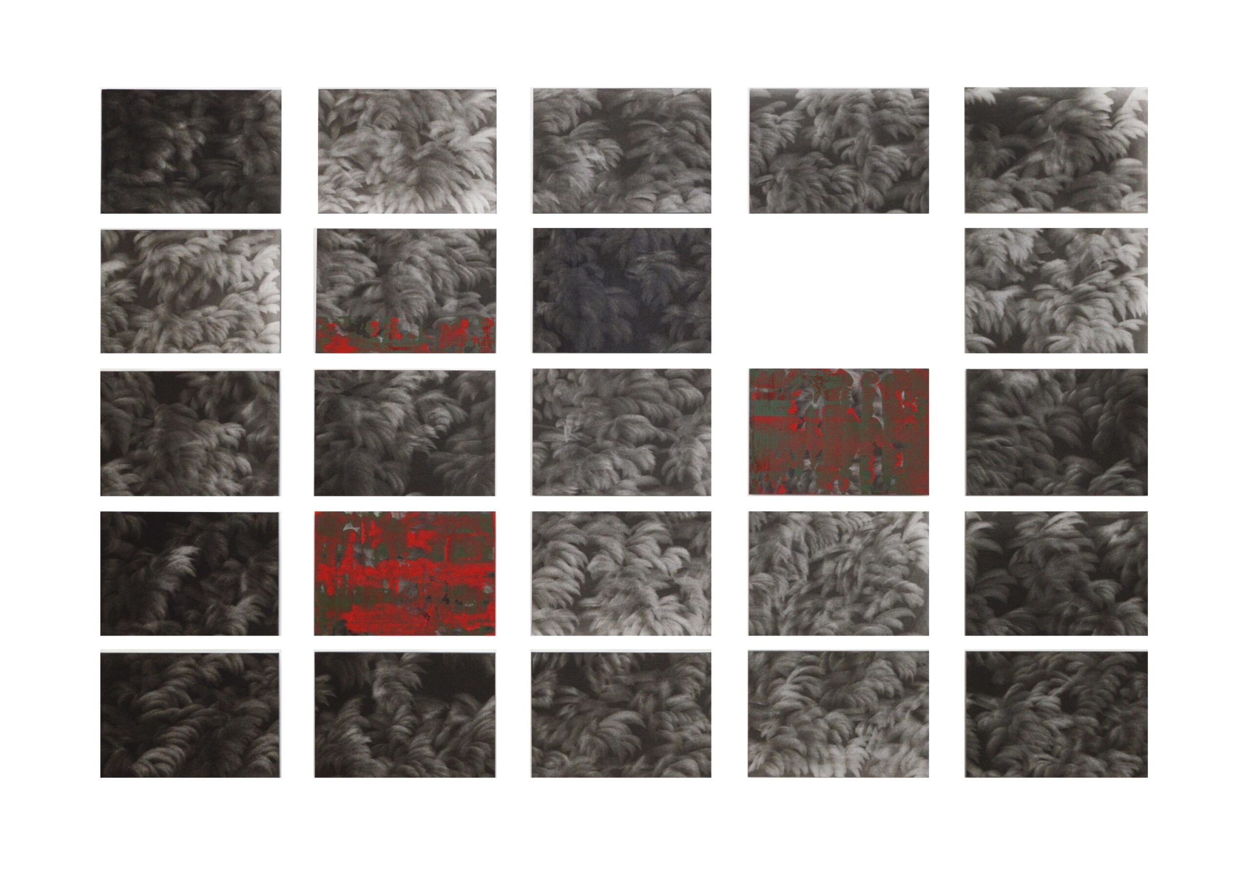 g 19][353 d - Giulia Dall'Olio 