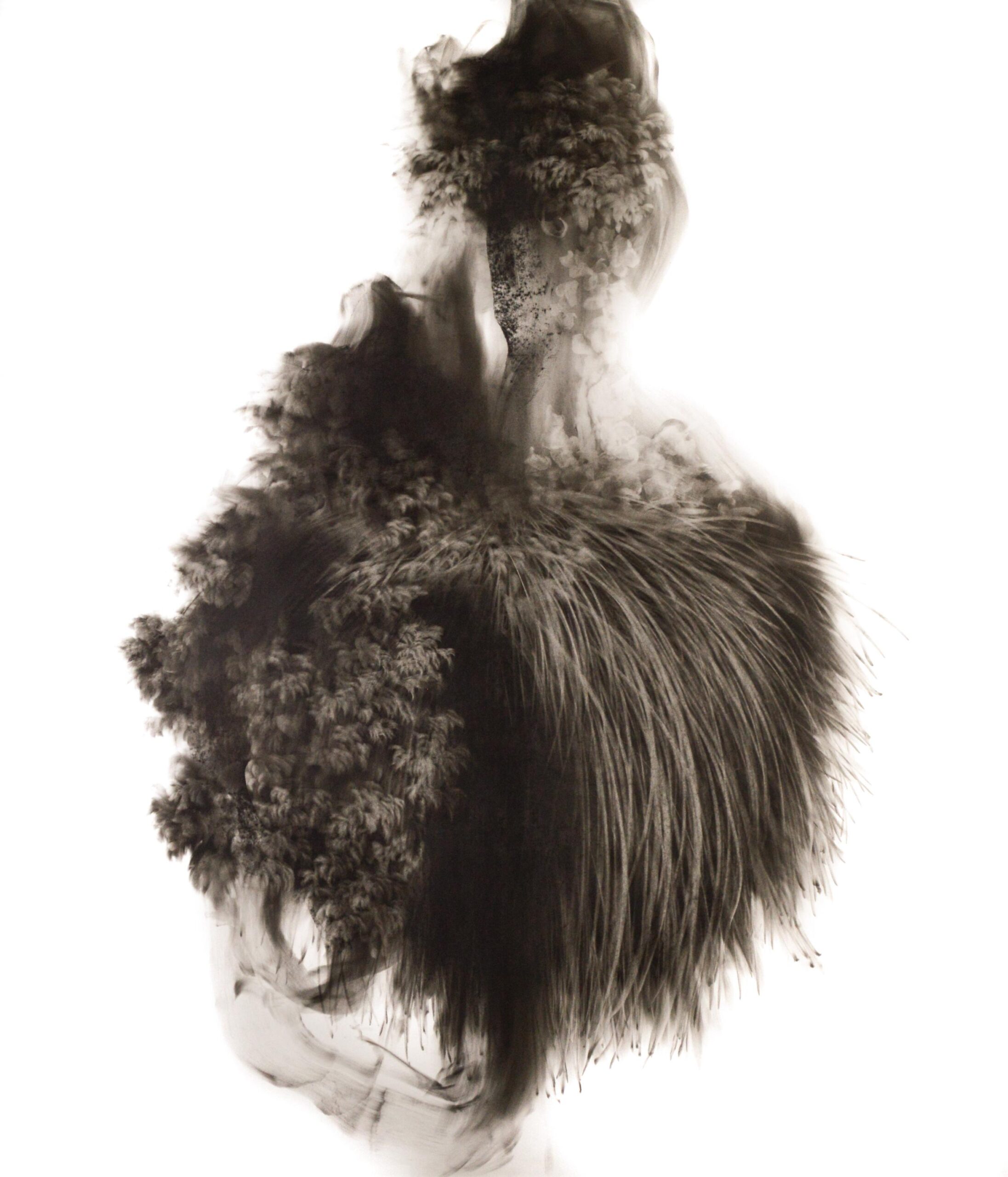 g 19][233 d - Giulia Dall'Olio 