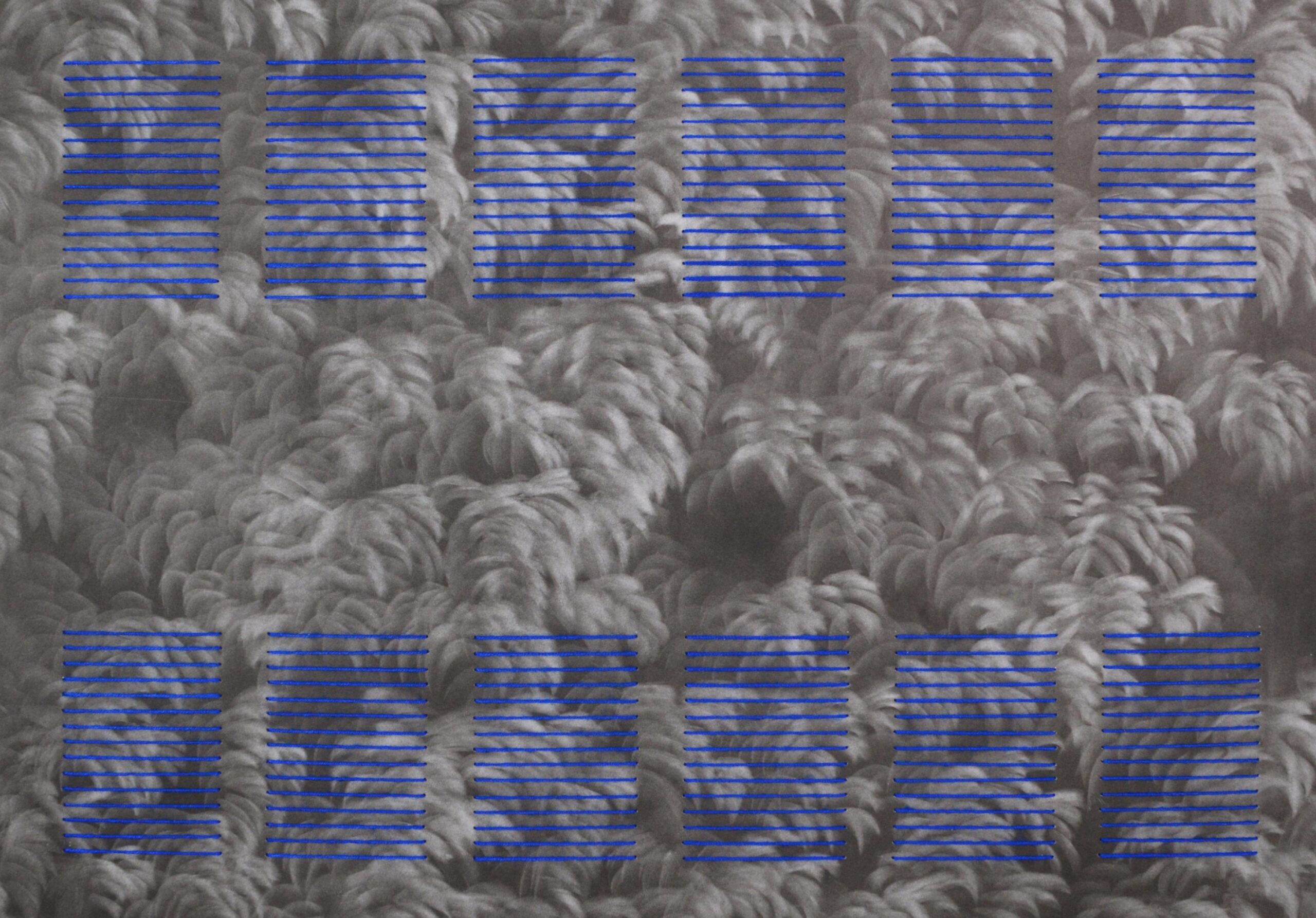 g 19][308 d - Giulia Dall'Olio 