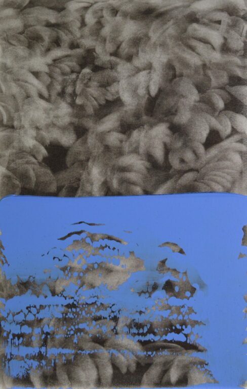 g 19][369 d - Giulia Dall'Olio 