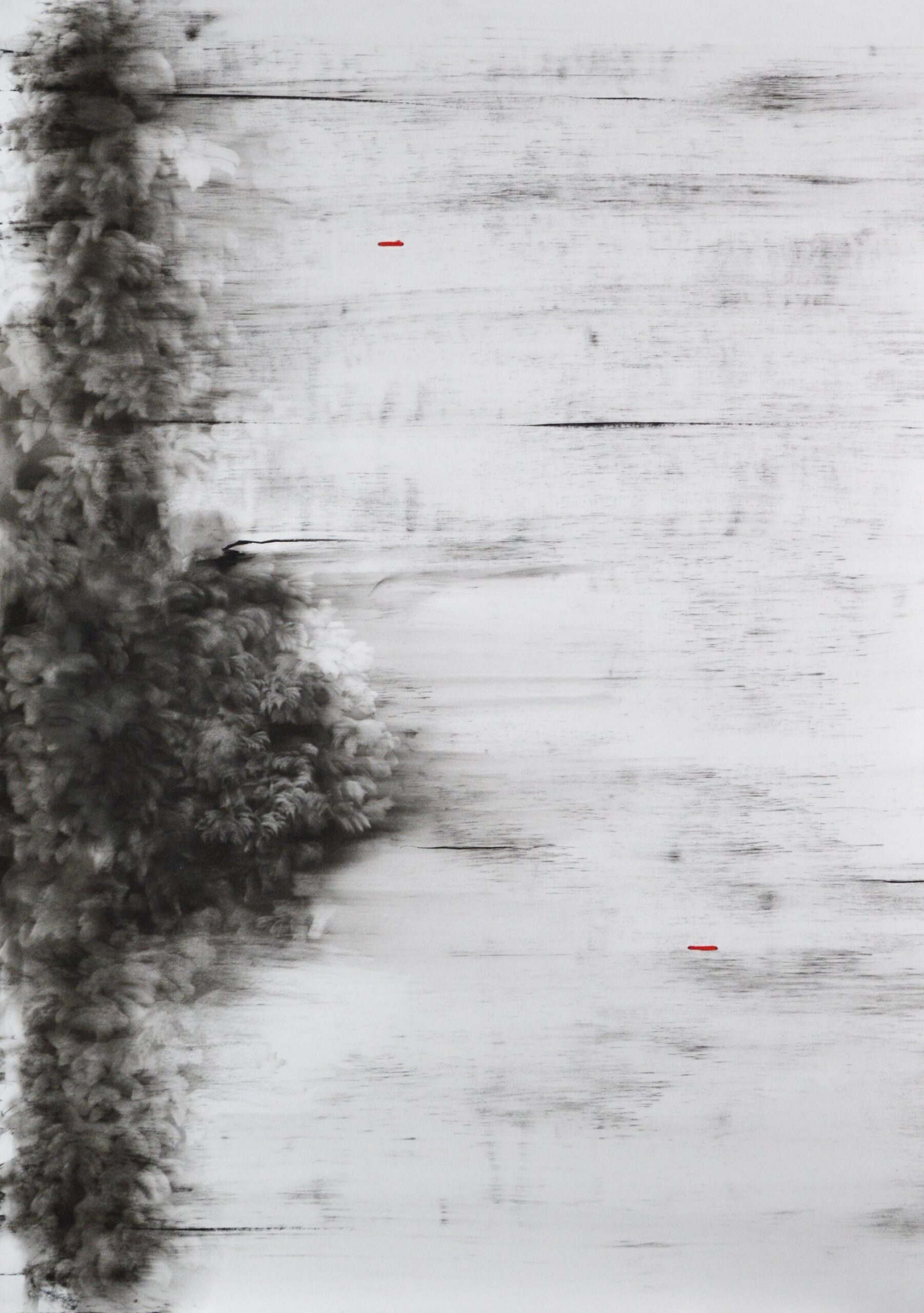 g 19][305 d - Giulia Dall'Olio 