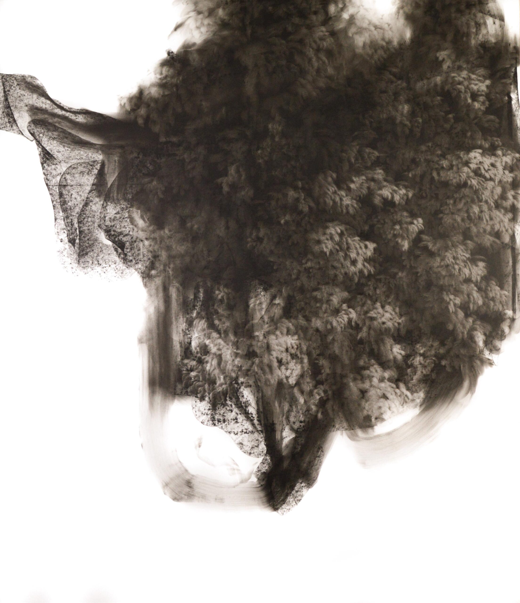 g 19][230 d - Giulia Dall'Olio 