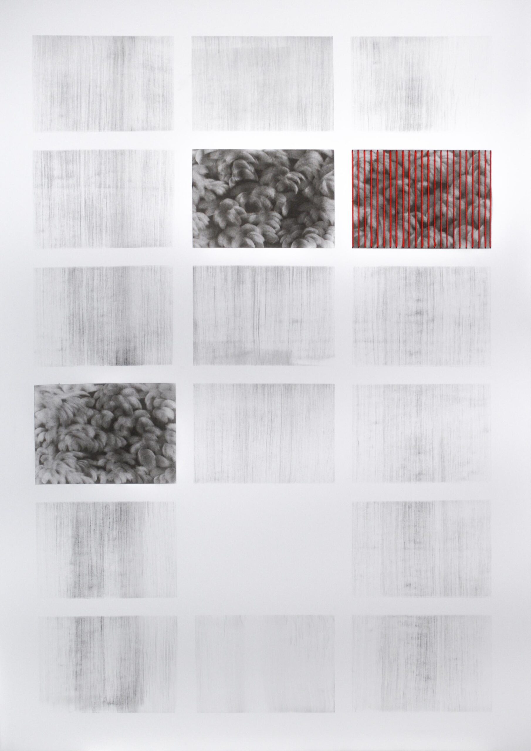 g 19][321 d - Giulia Dall'Olio 