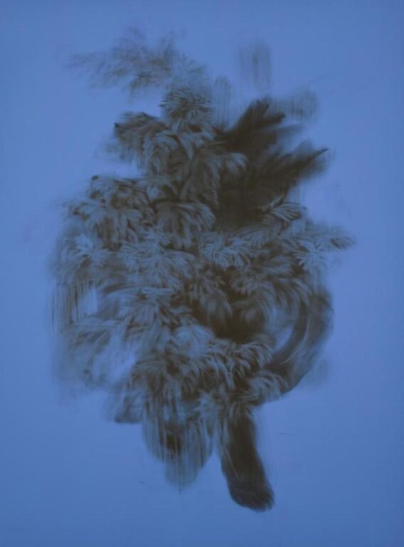 g 19][392 d - Giulia Dall'Olio 