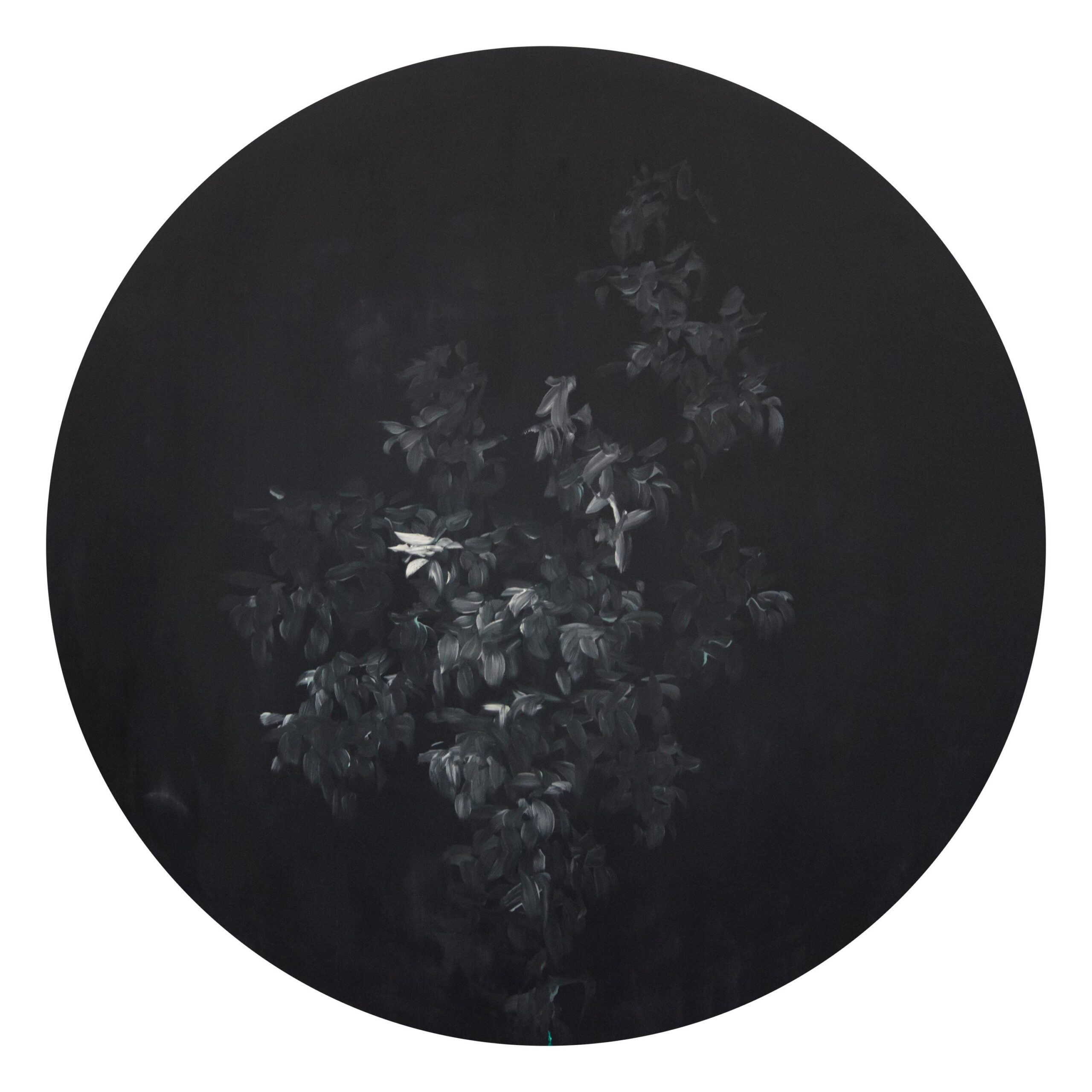 g 8][126 d - Giulia Dall'Olio 