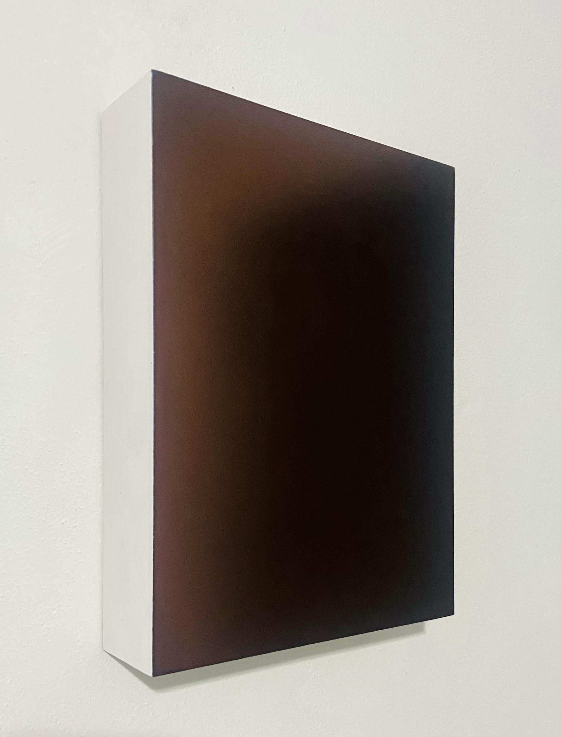 Apoteosi (A003) - Silvia Inselvini 